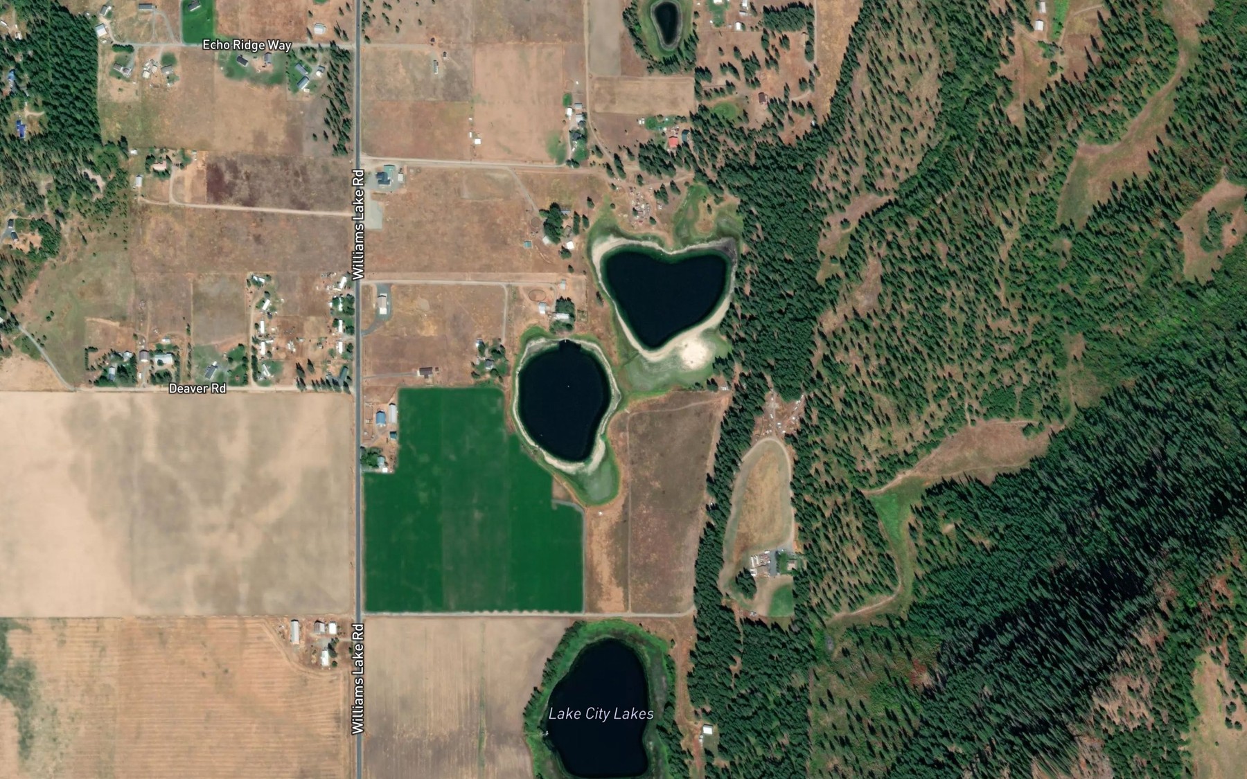 Satellite map of the Lake City Lakes