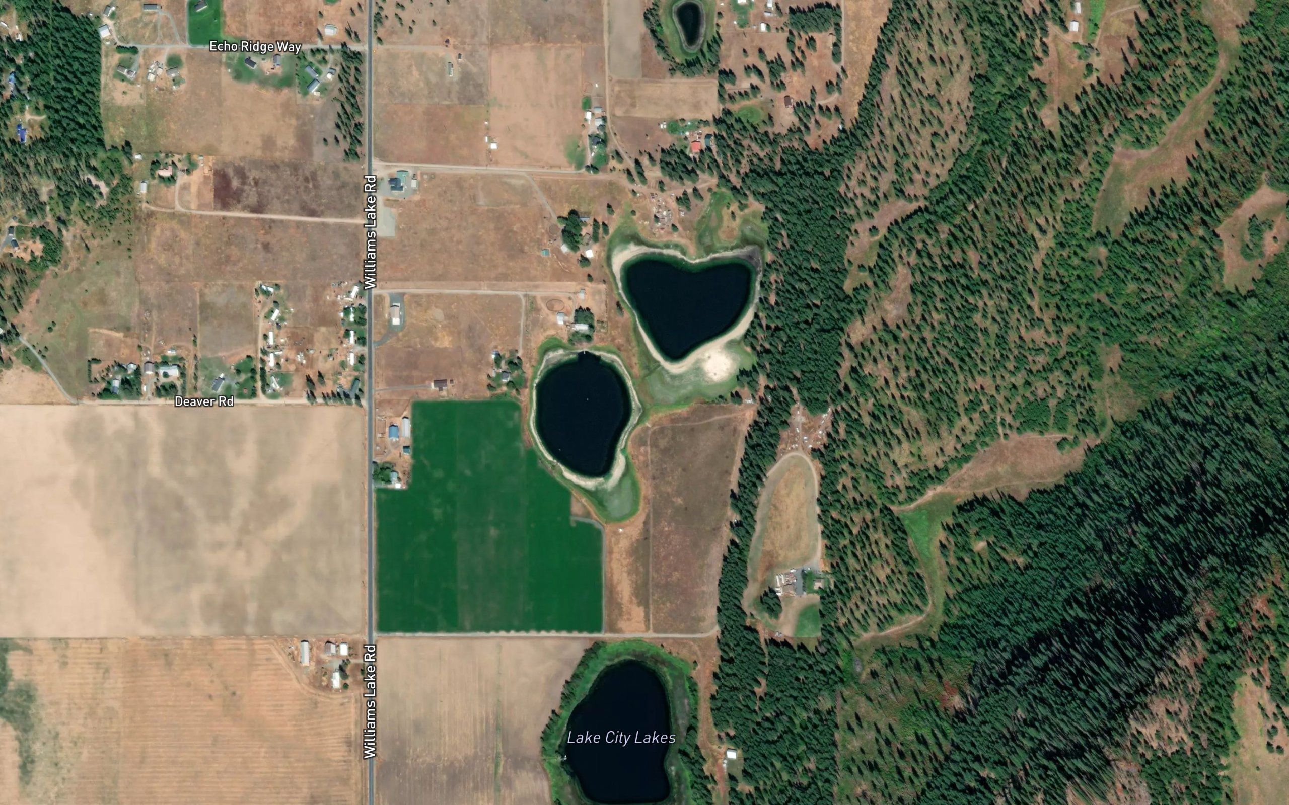 Lake City Lakes