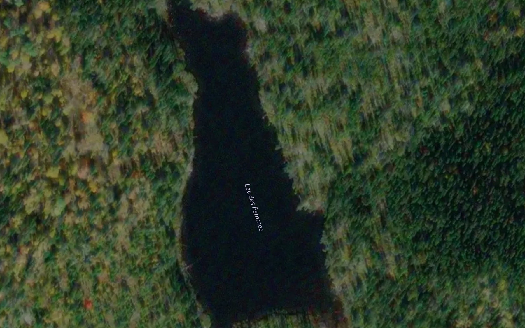 Satellite map of the Lac des Femmes