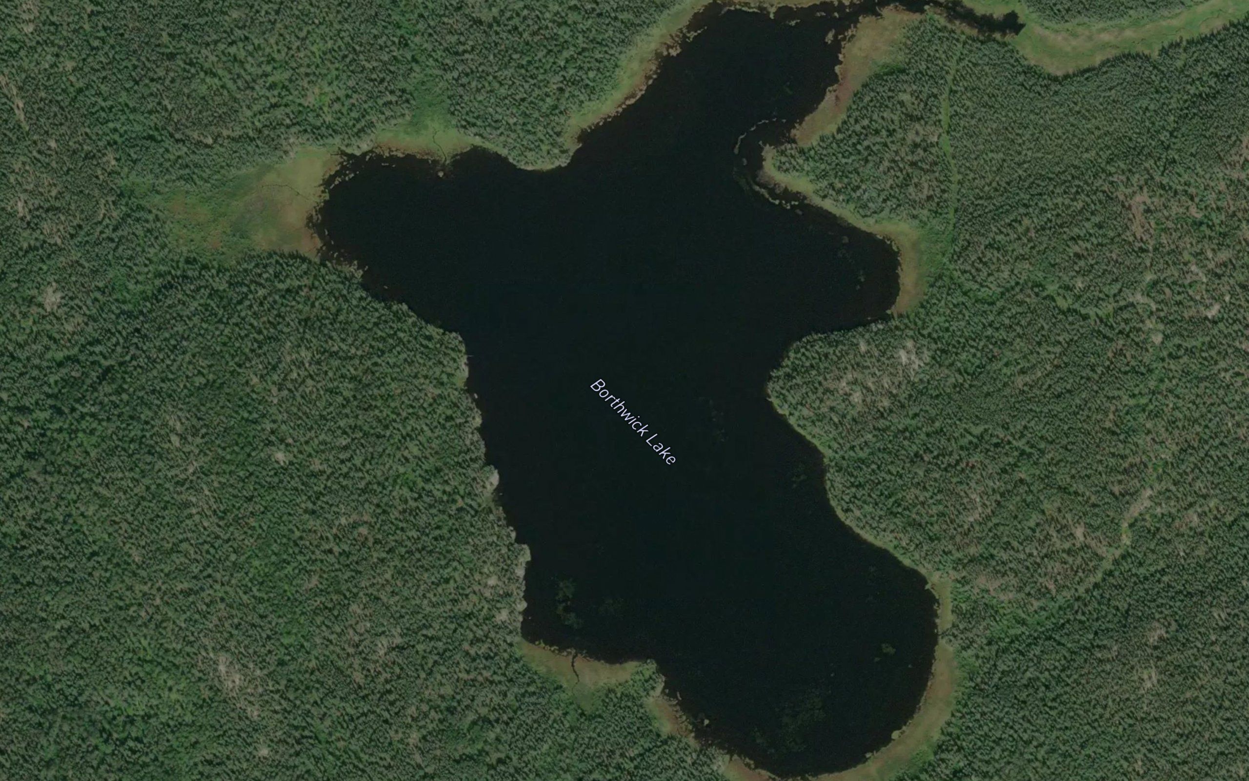 Borthwick Lake