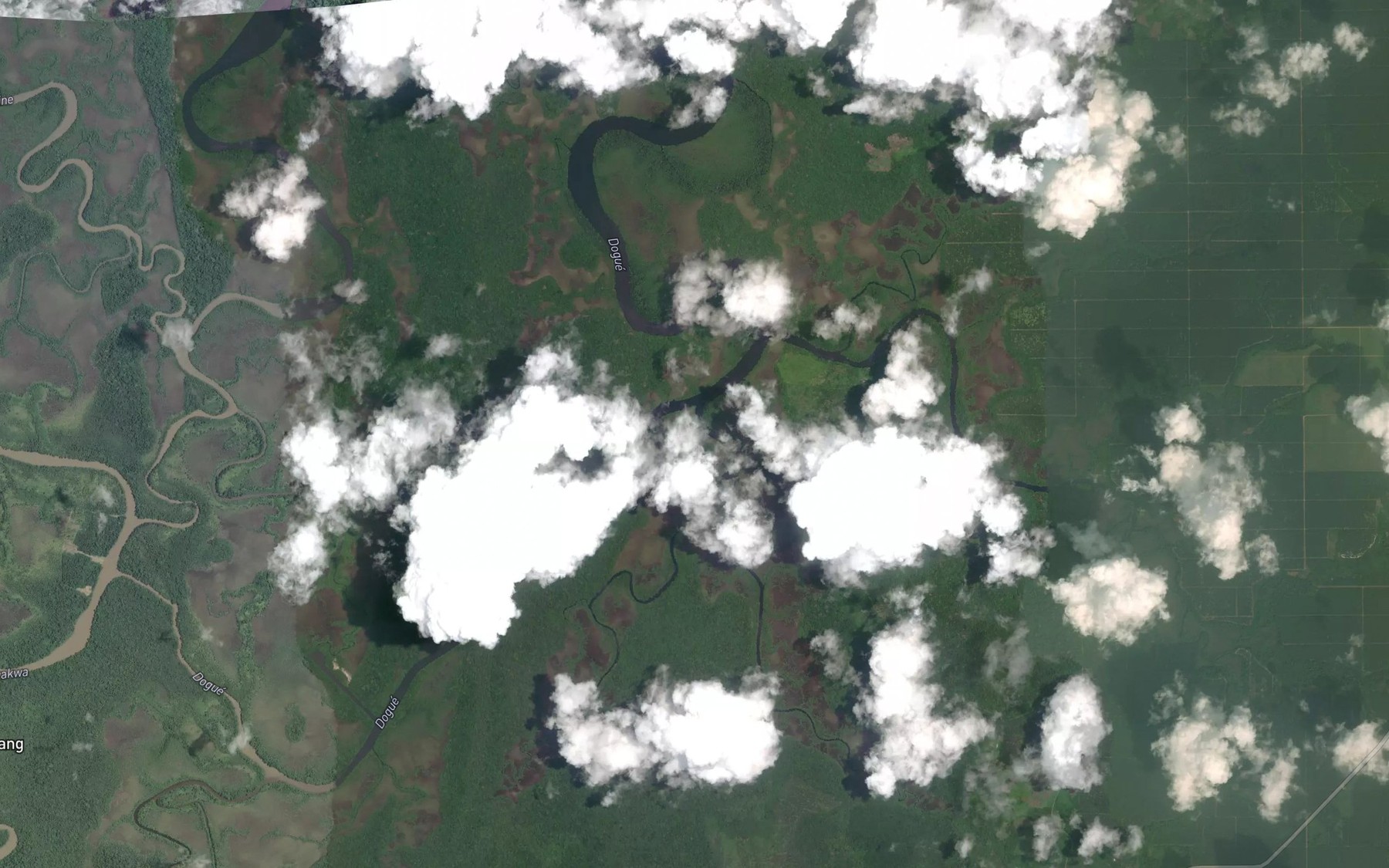 Satellite map of the Dogue
