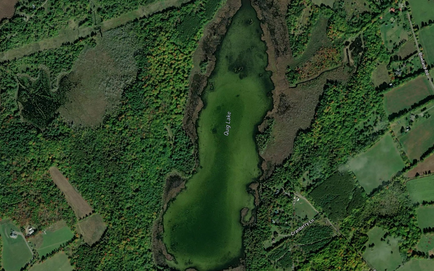 Satellite map of the Quig Lake