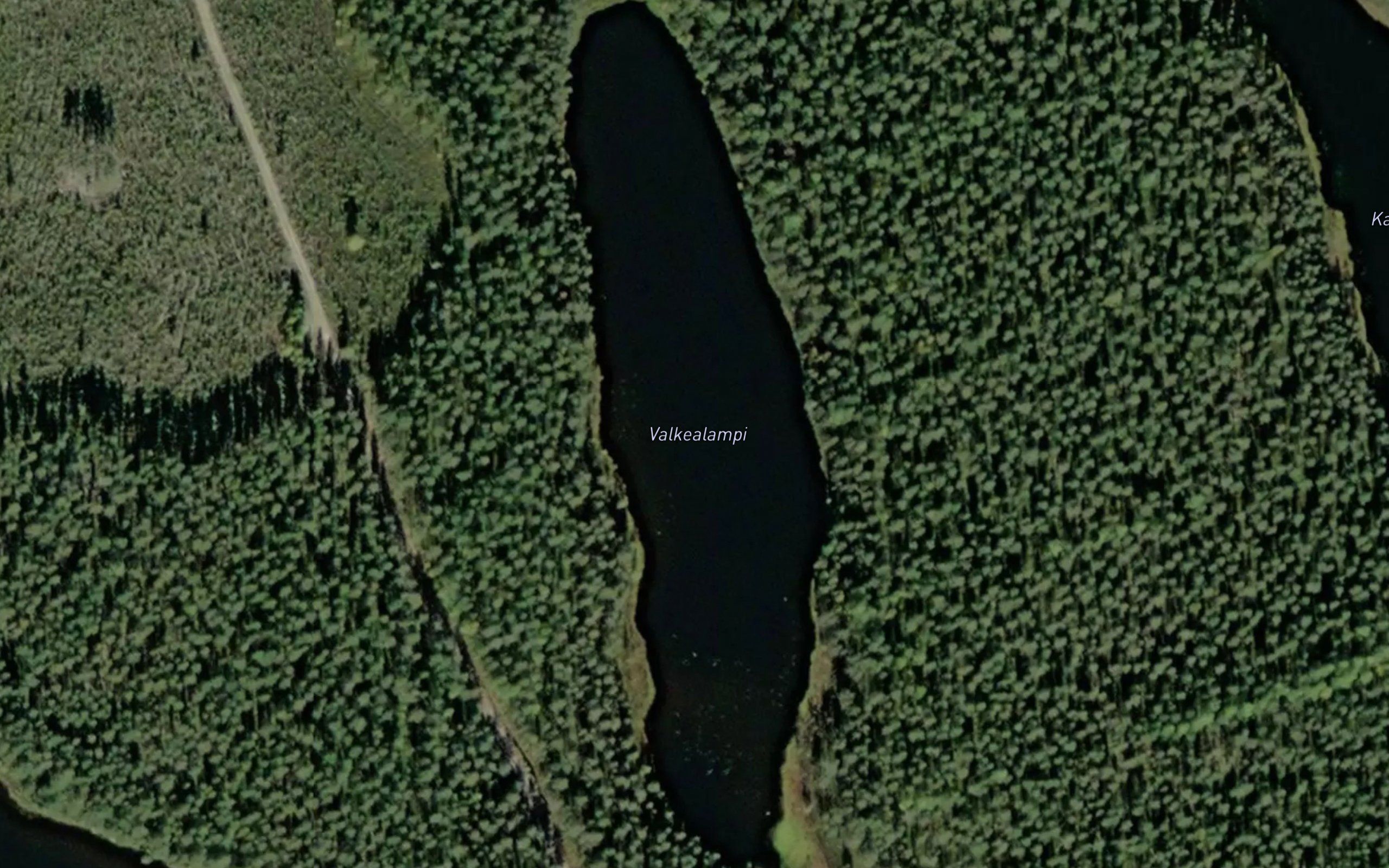 Valkealampi