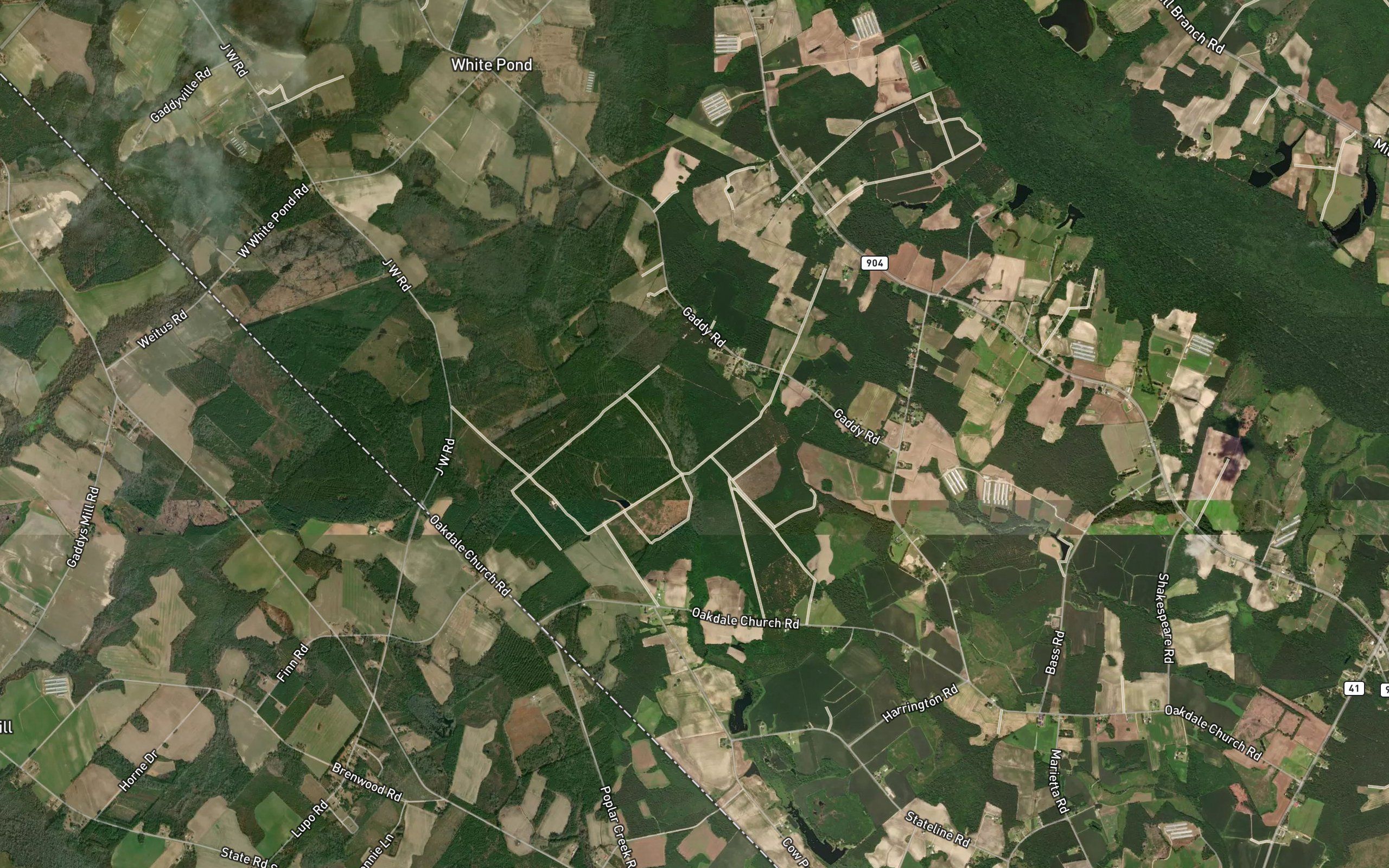 Cowpen Swamp