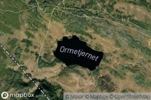 Ormetjernet