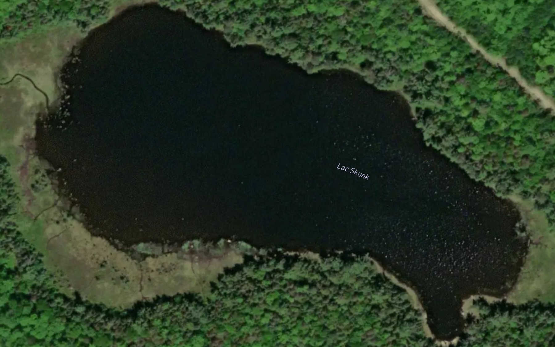 Satellite map of the Lac Skunk
