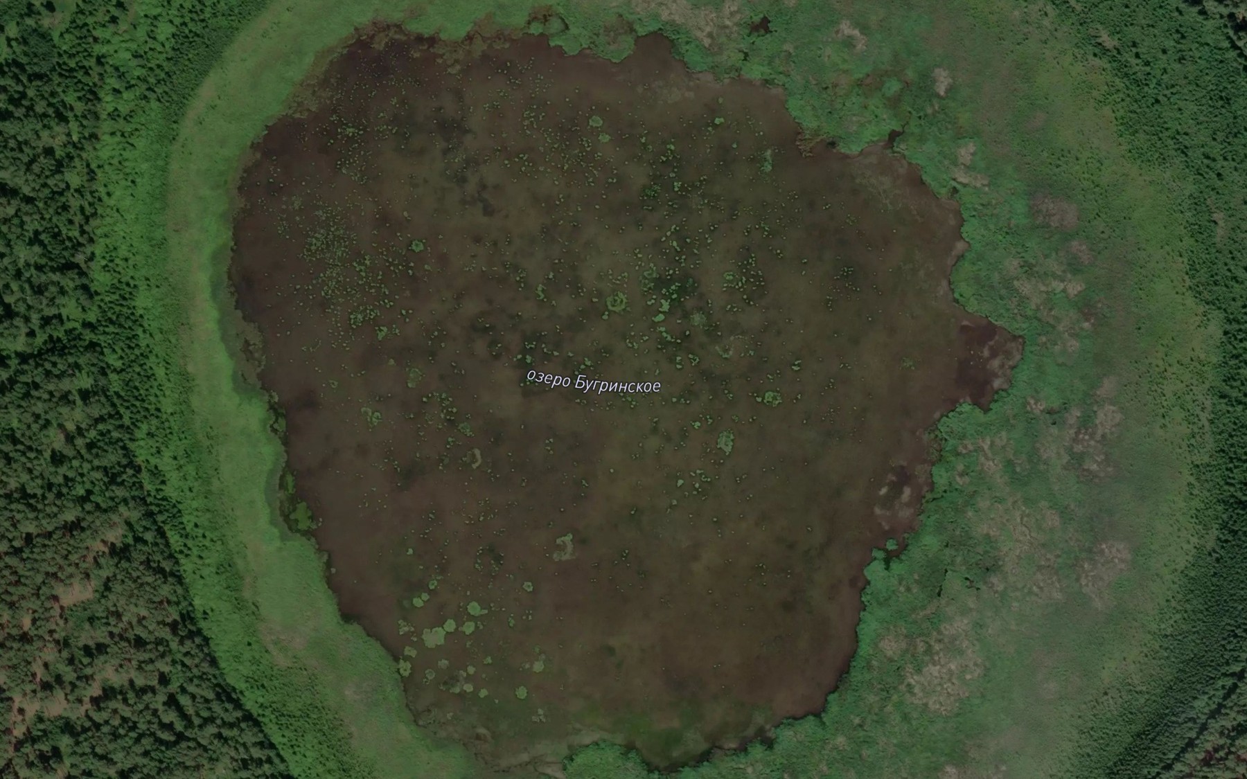 Satellite map of the Ozero Bugrinskoye