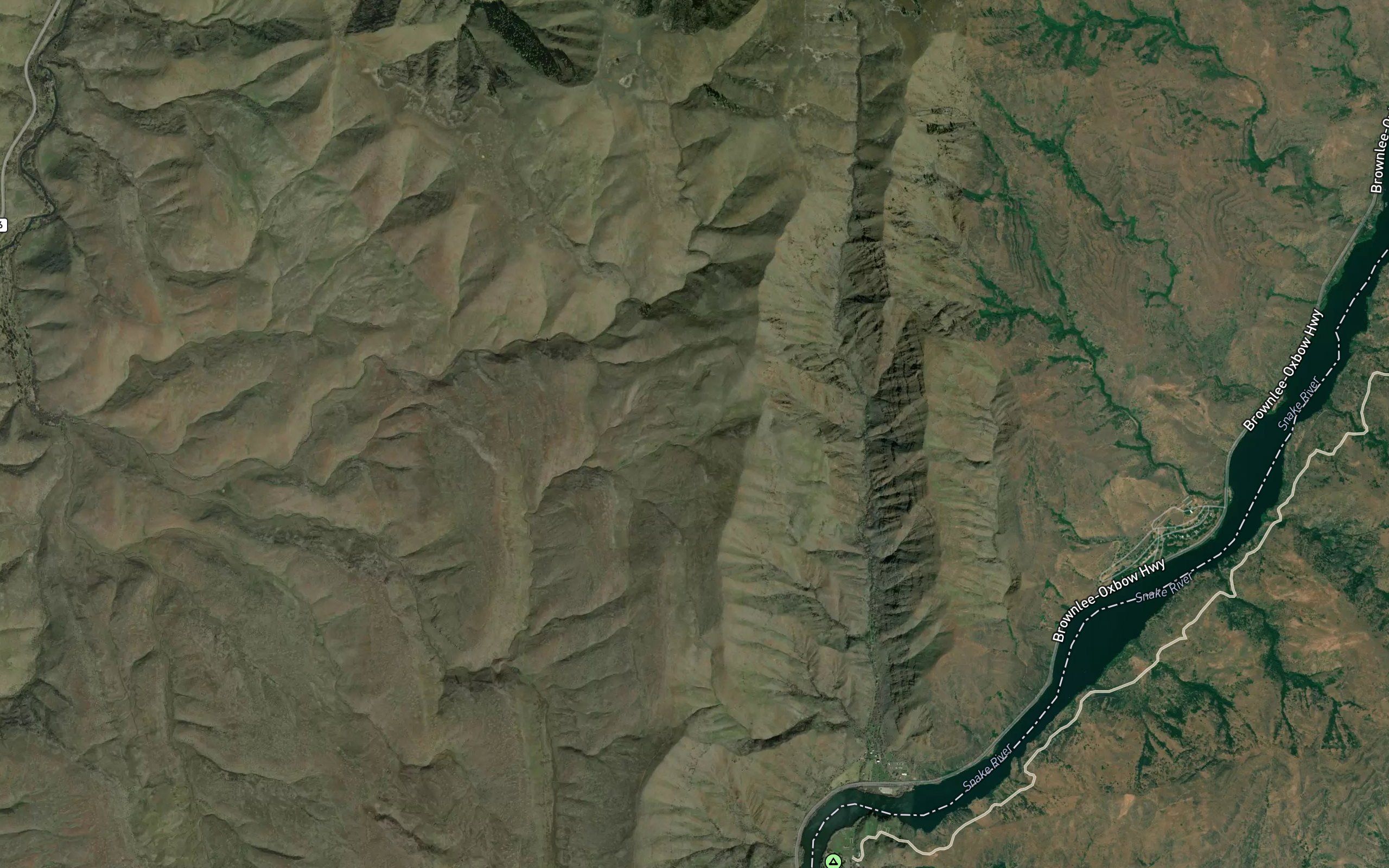 McGee Spring