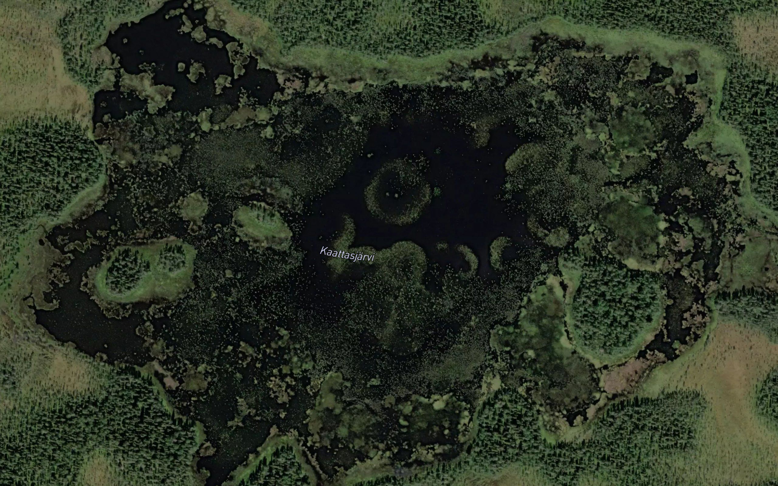 Kaattasjarvi