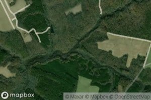 Rickenaw Creek