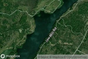 Lake of the Woods