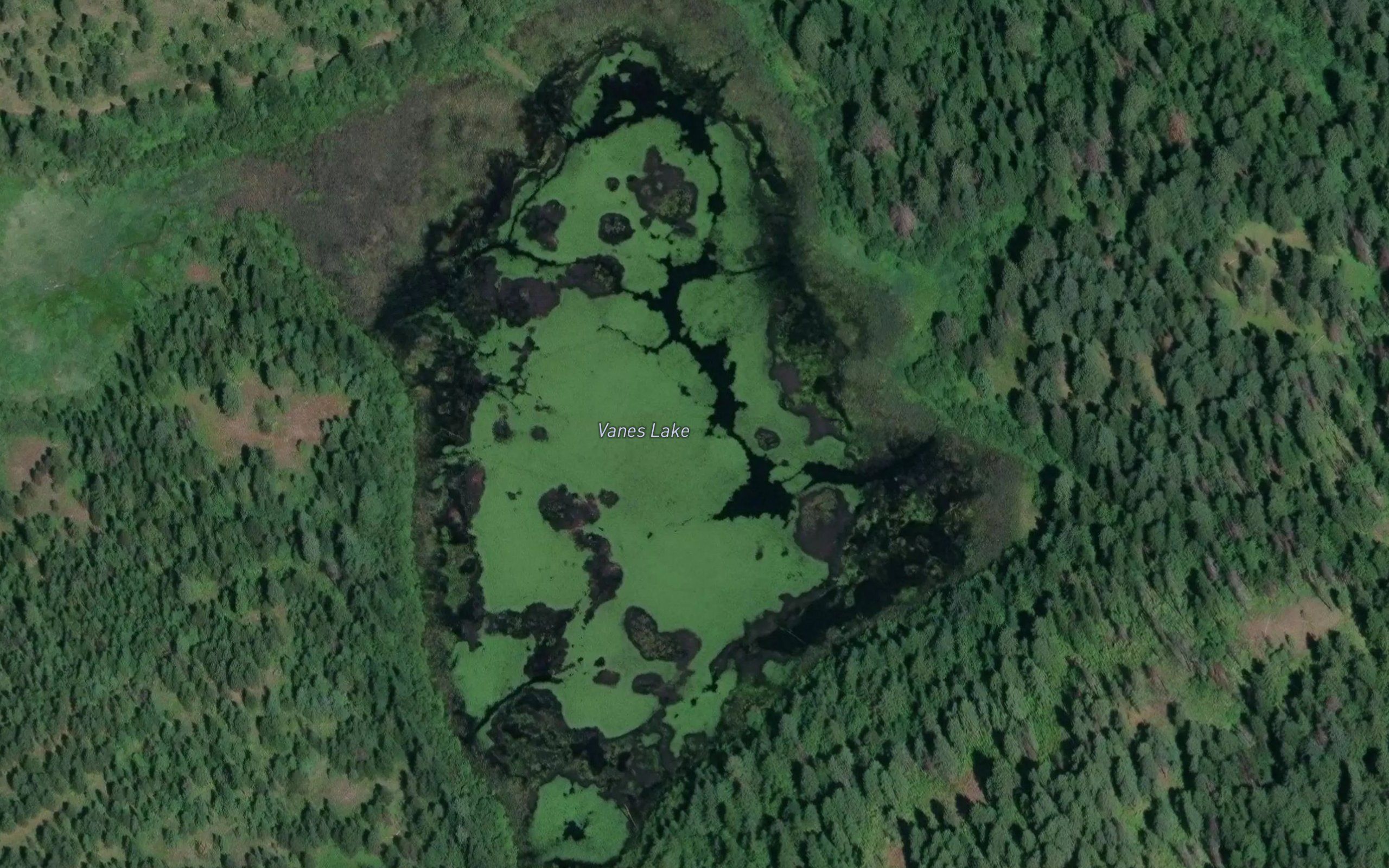 Vances Lake