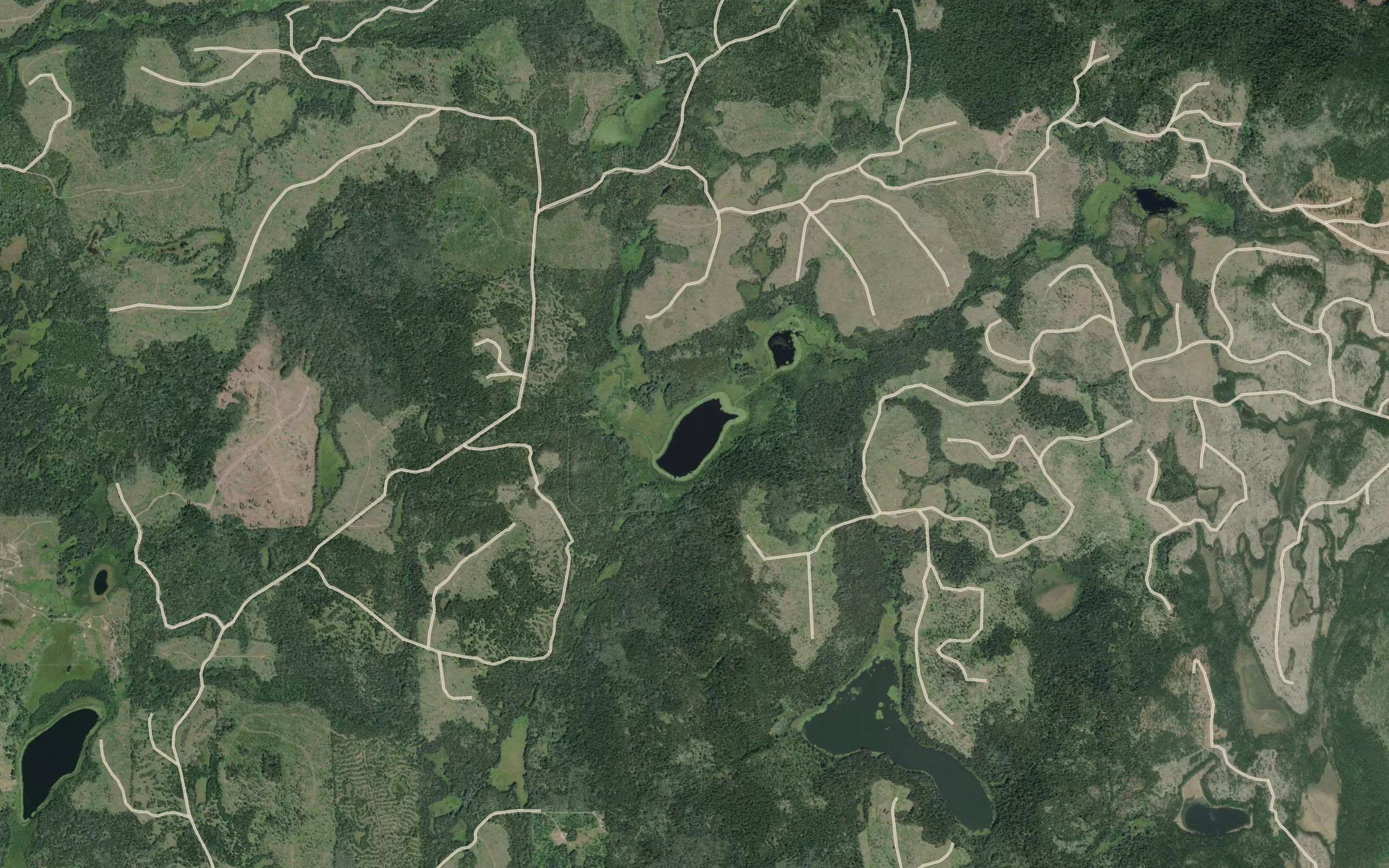 Duckling Lake