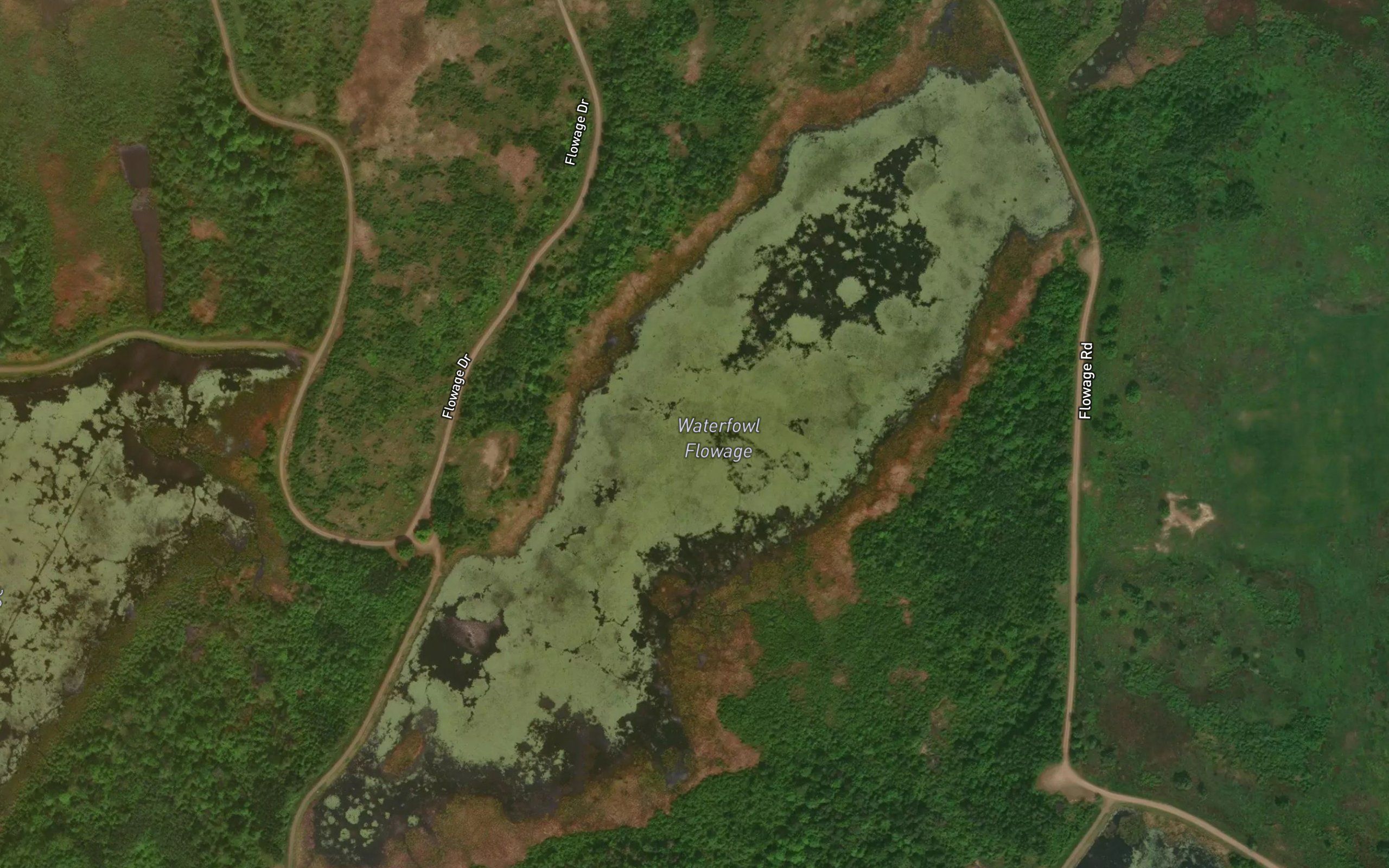 Waterfowl Flowage