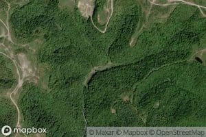 Mullins Fork