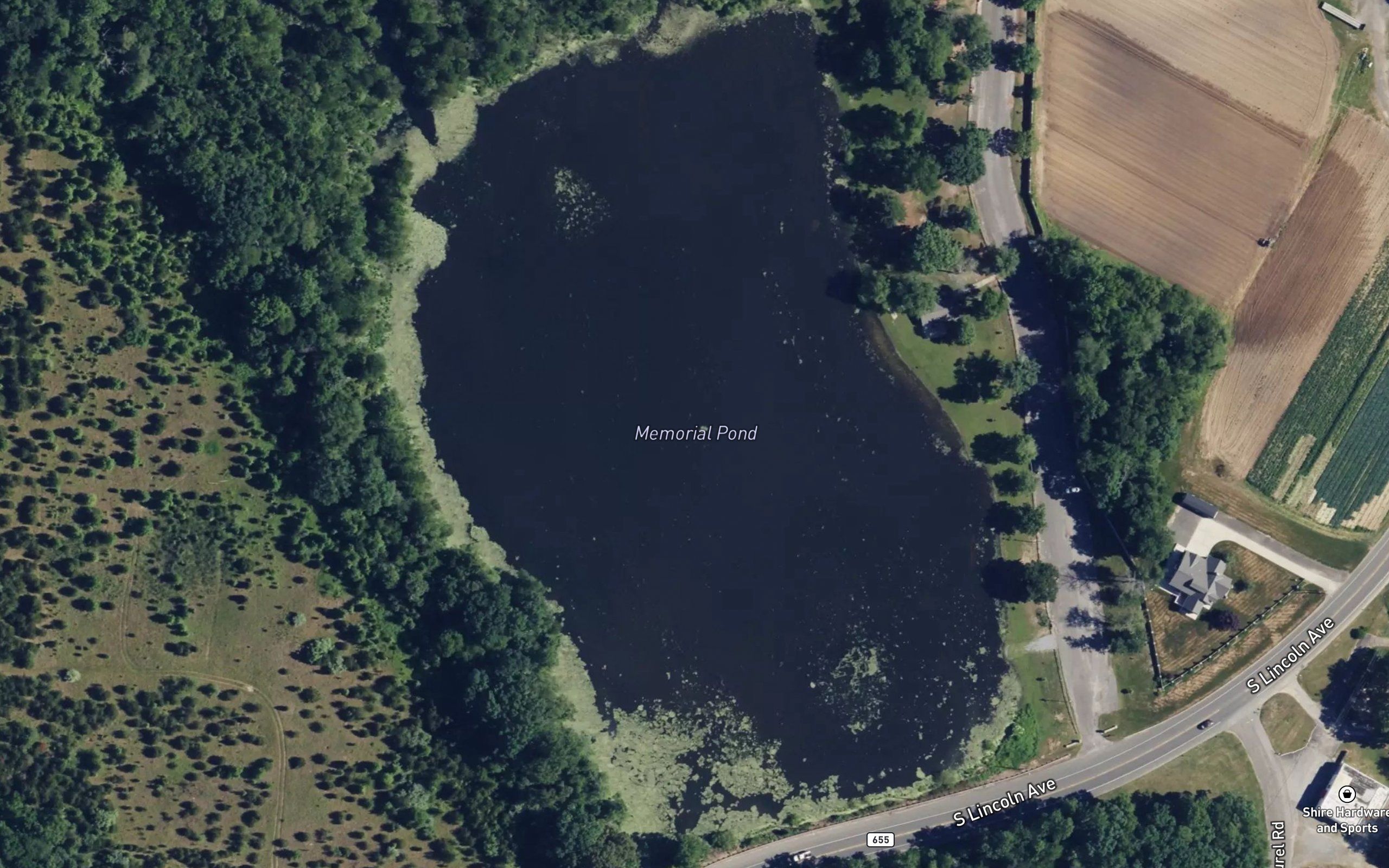 Memorial Park Pond