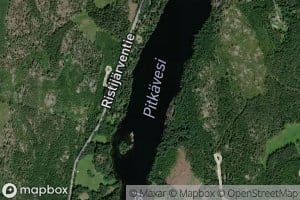 Pitkavesi