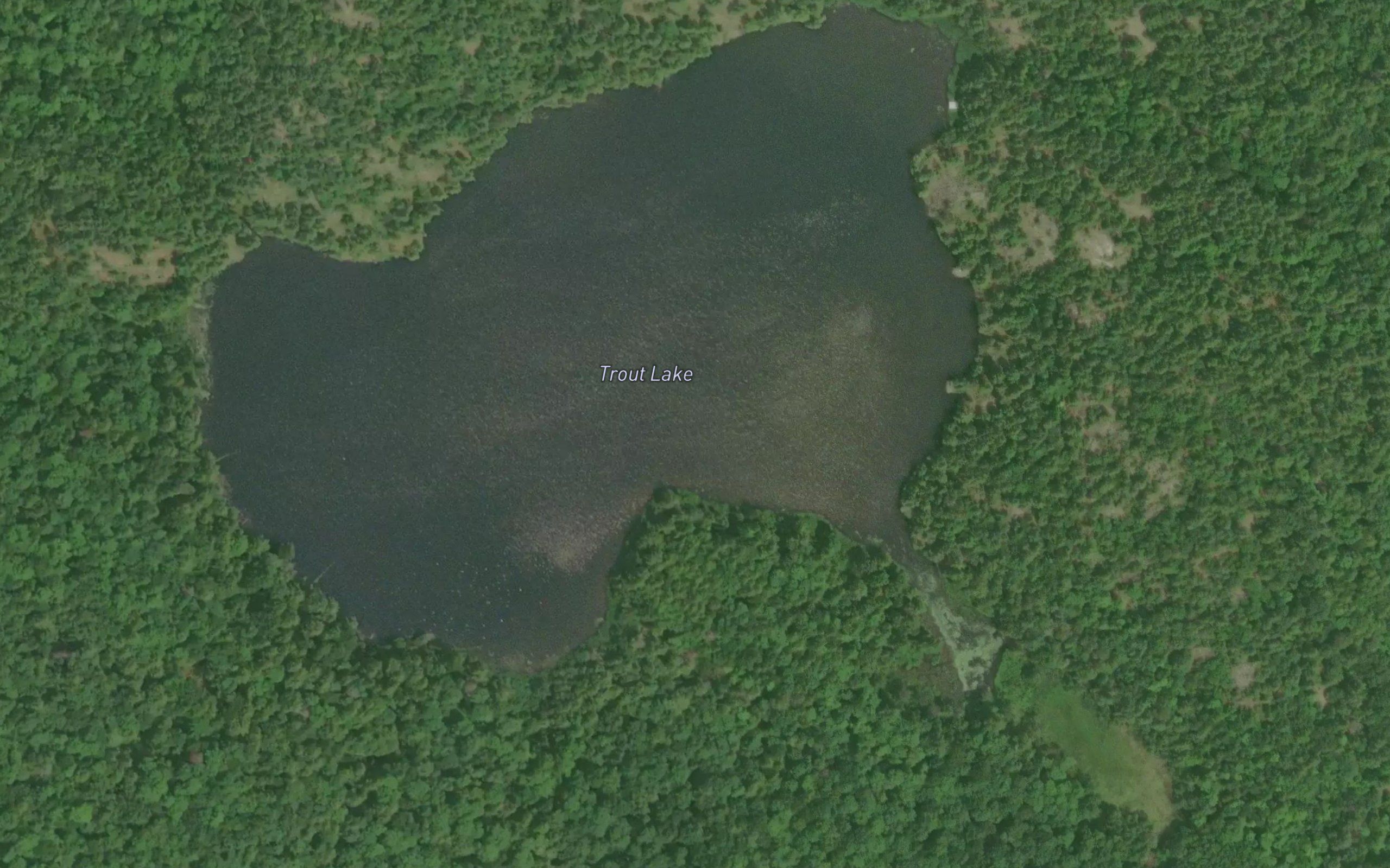 Trout Lake
