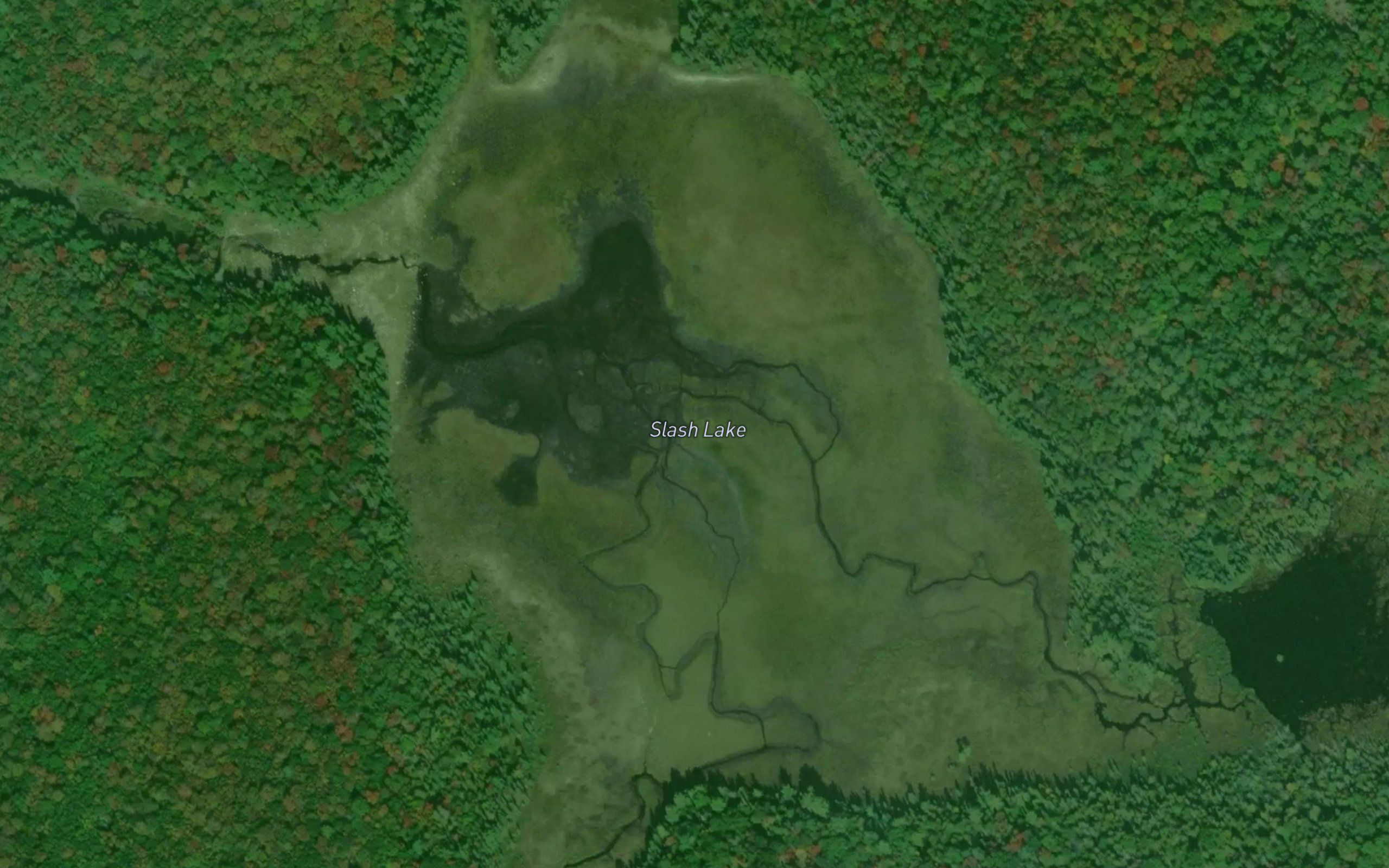 Slash Lake