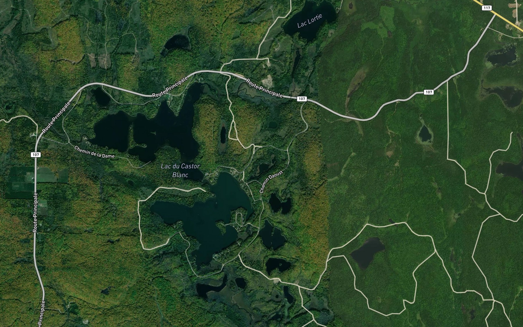 Satellite map of the Lac aux Barbottes