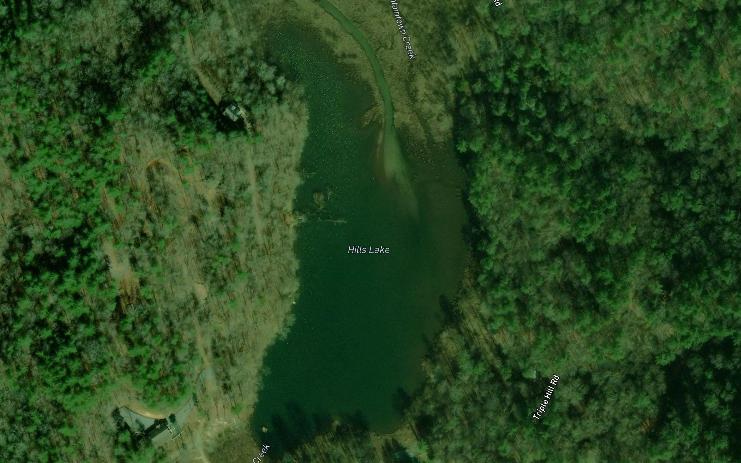 Hills Lake