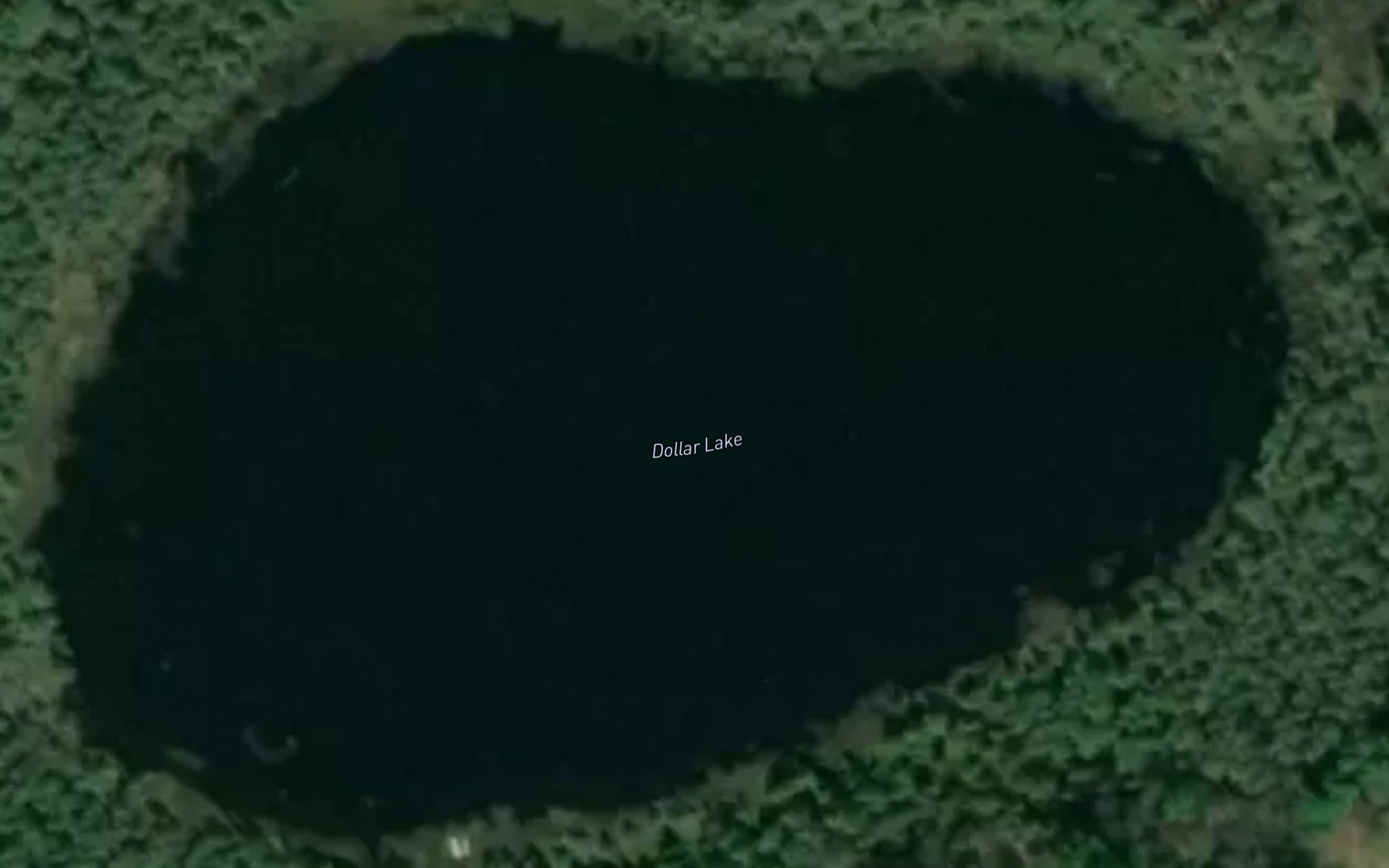 Satellite map of the Dollar Lake