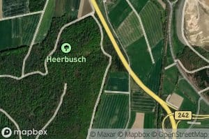 Griesebach
