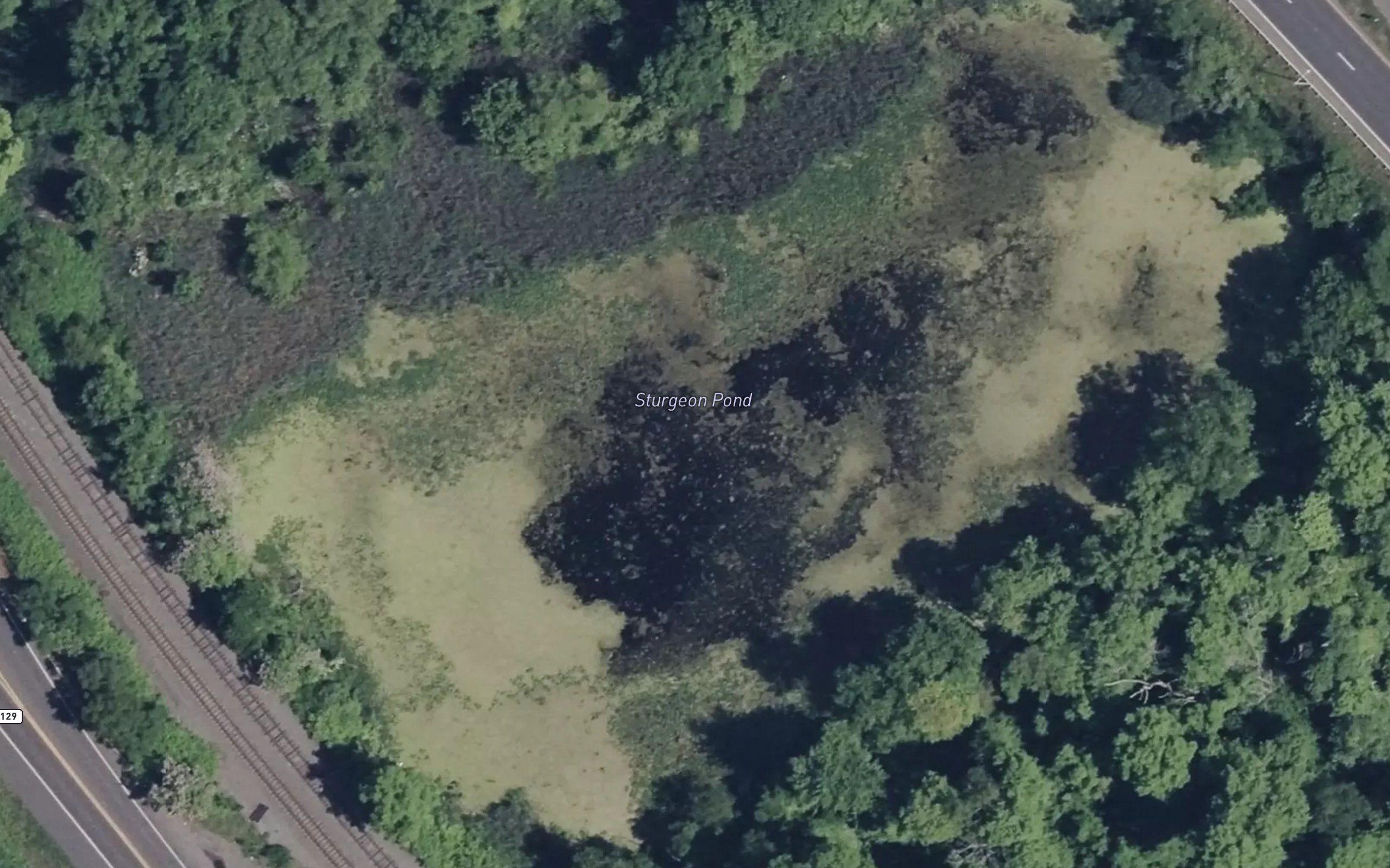 Sturgeon Pond