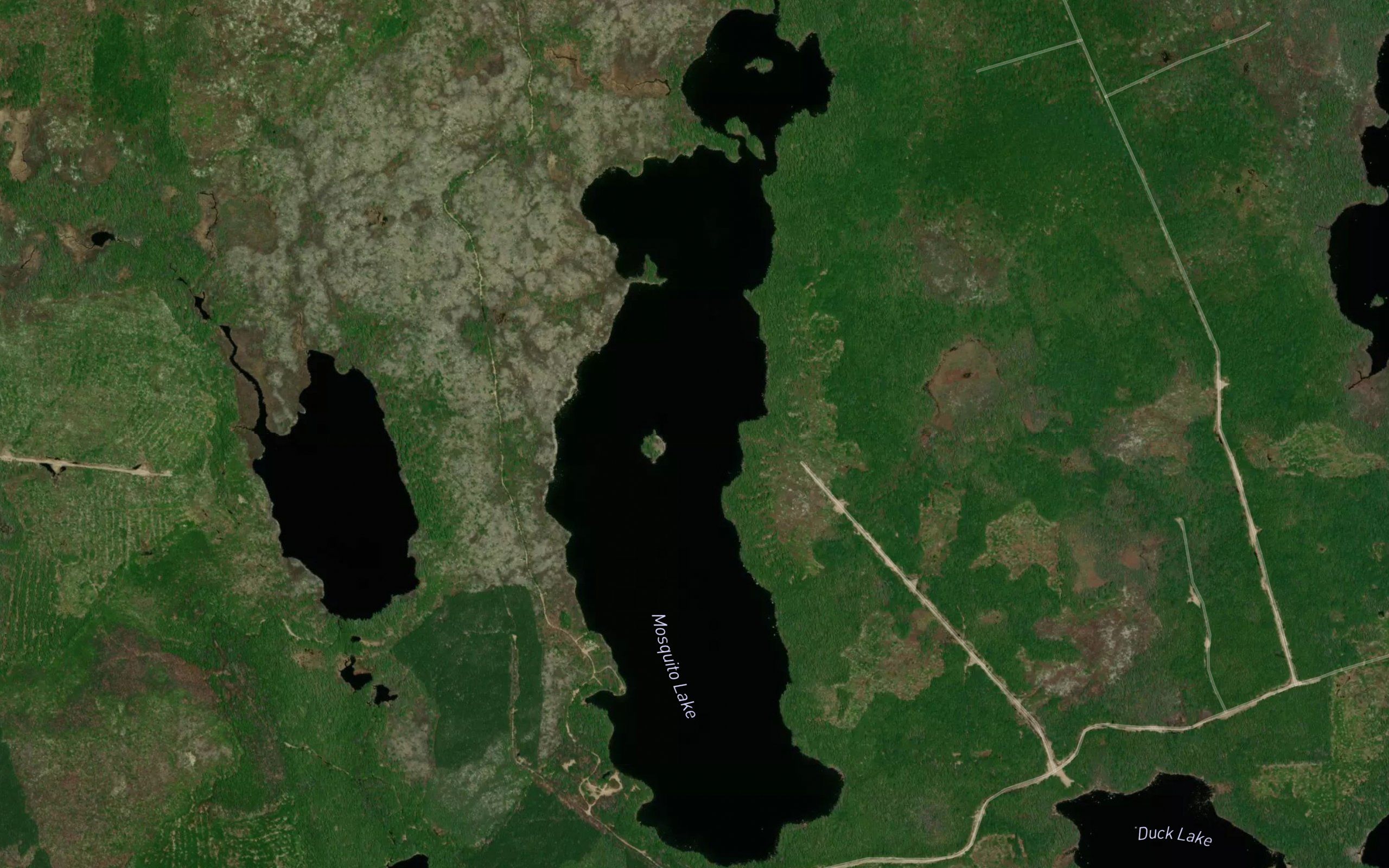 Mosquito Lake