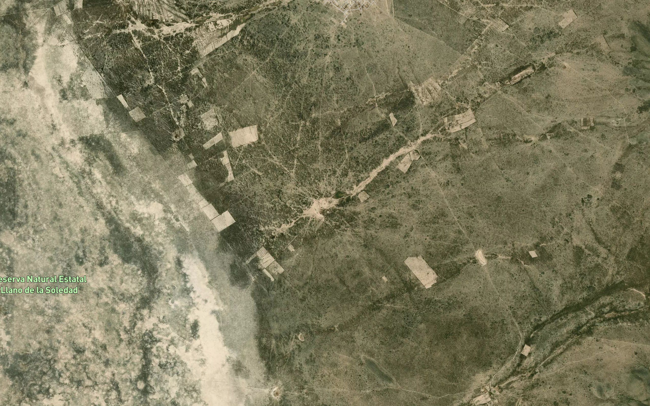 El Mezquite