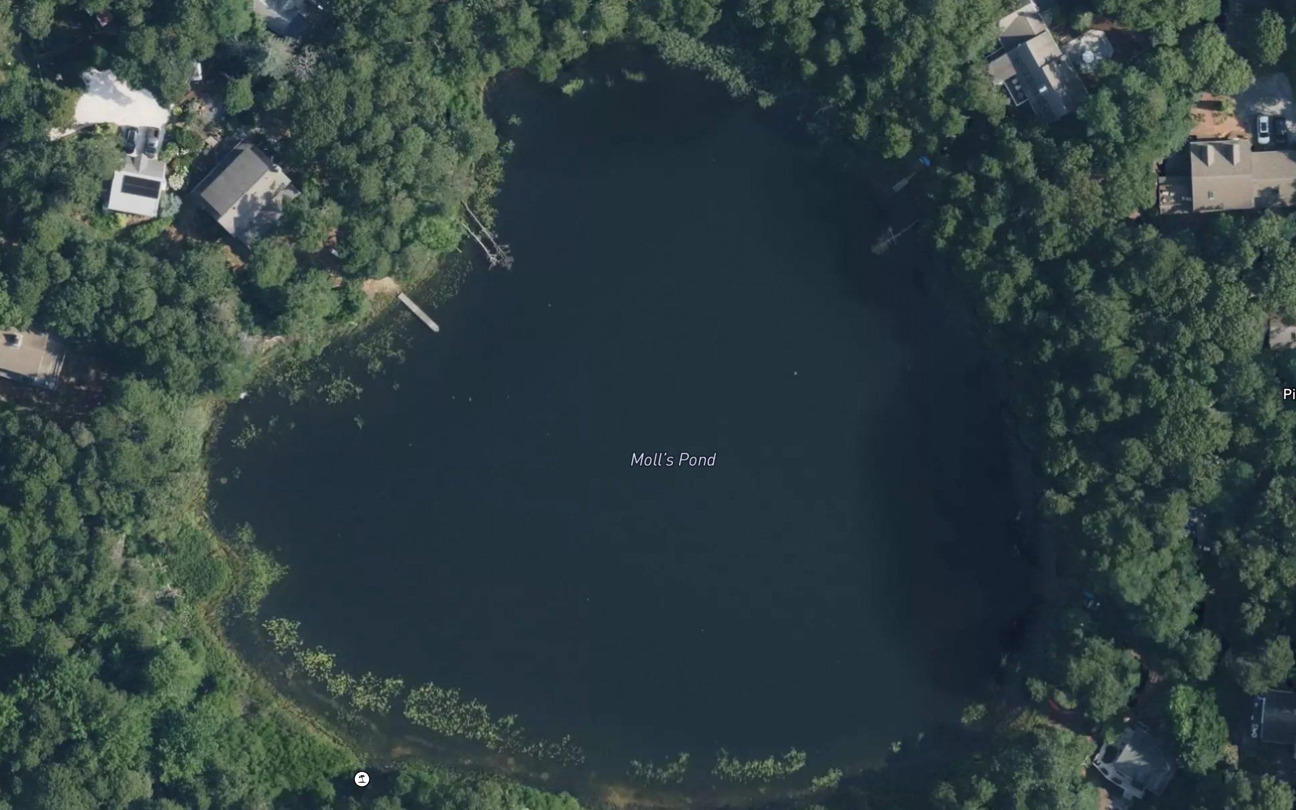Moll Pond