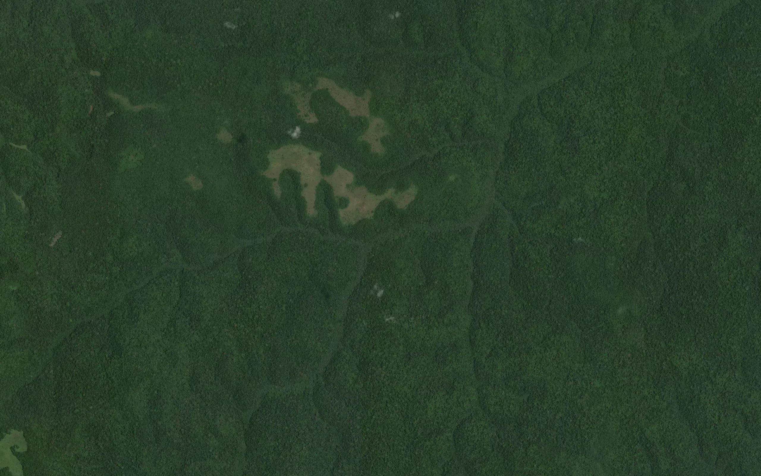 Lushina