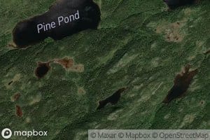 Pine Pond