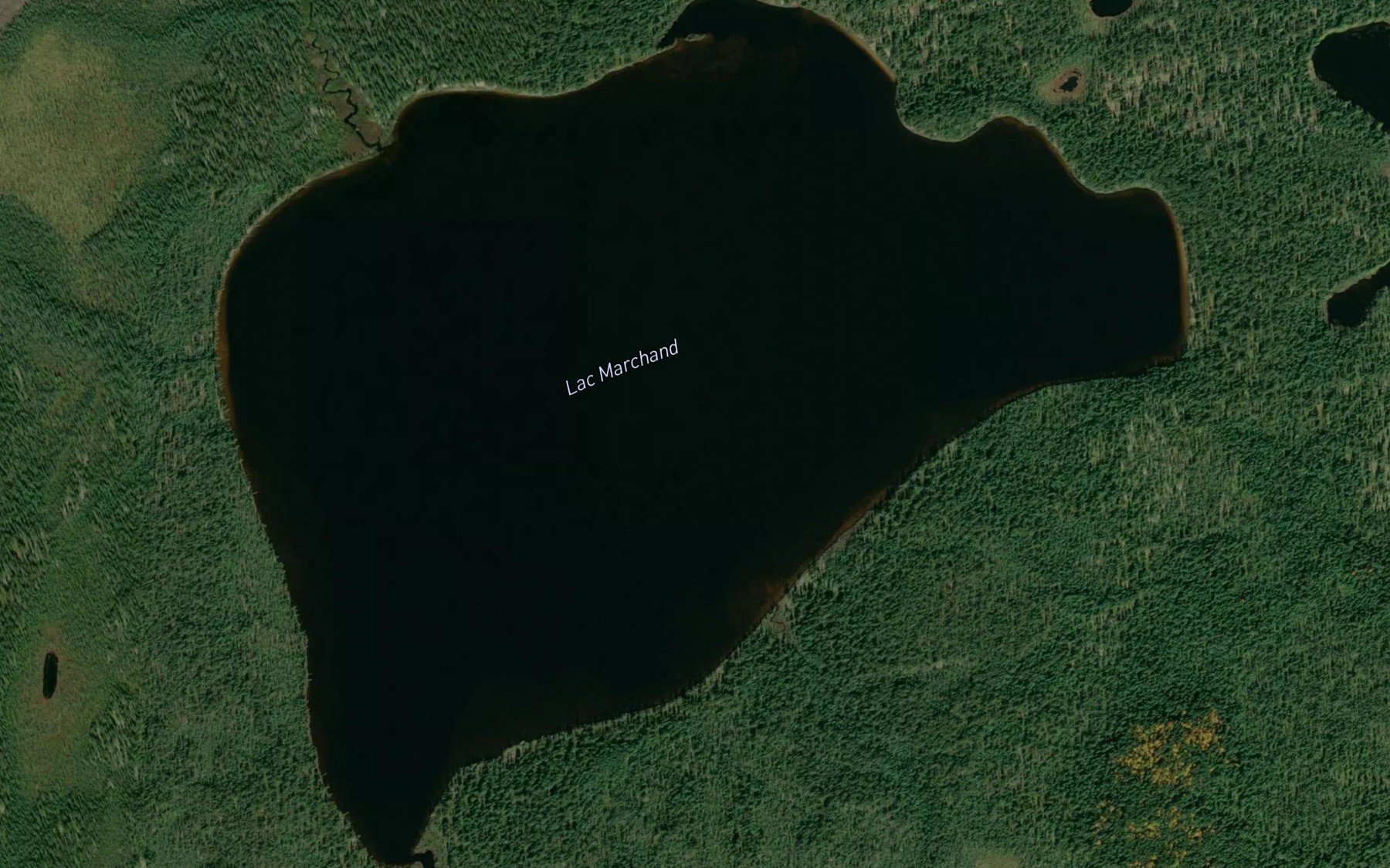 Satellite map of the Lac Marchand