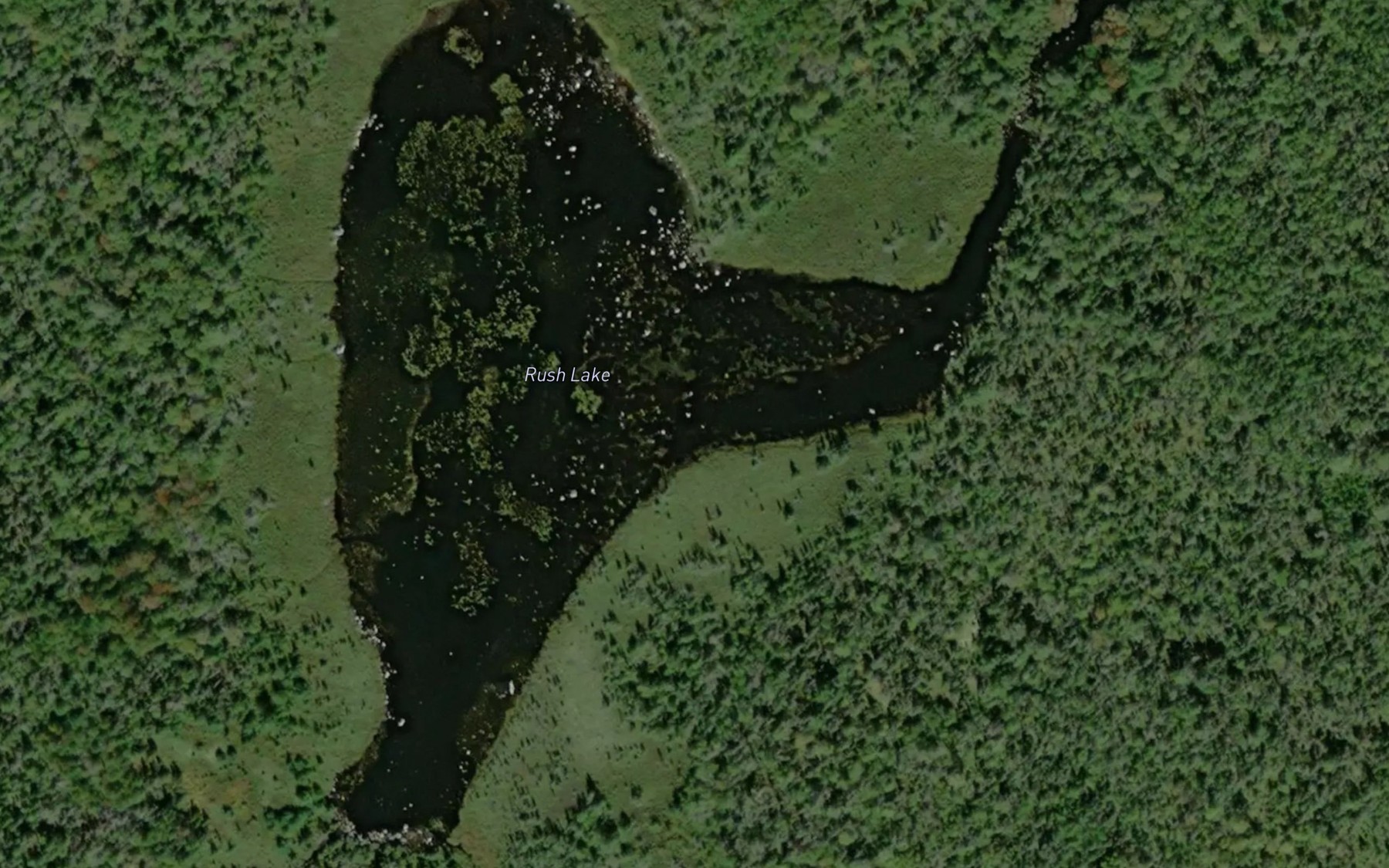 Satellite map of the Rush Lake