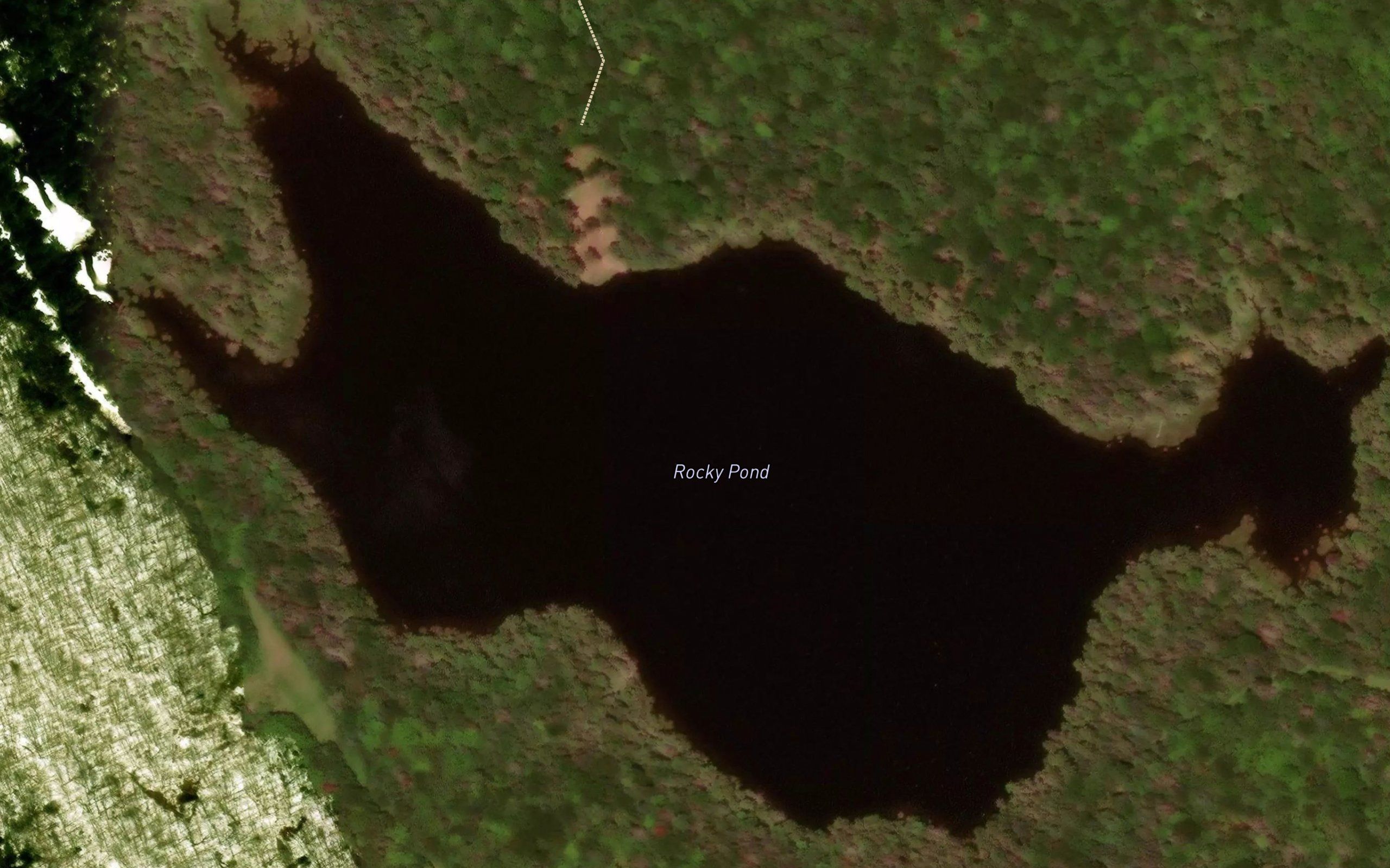 Rocky Pond