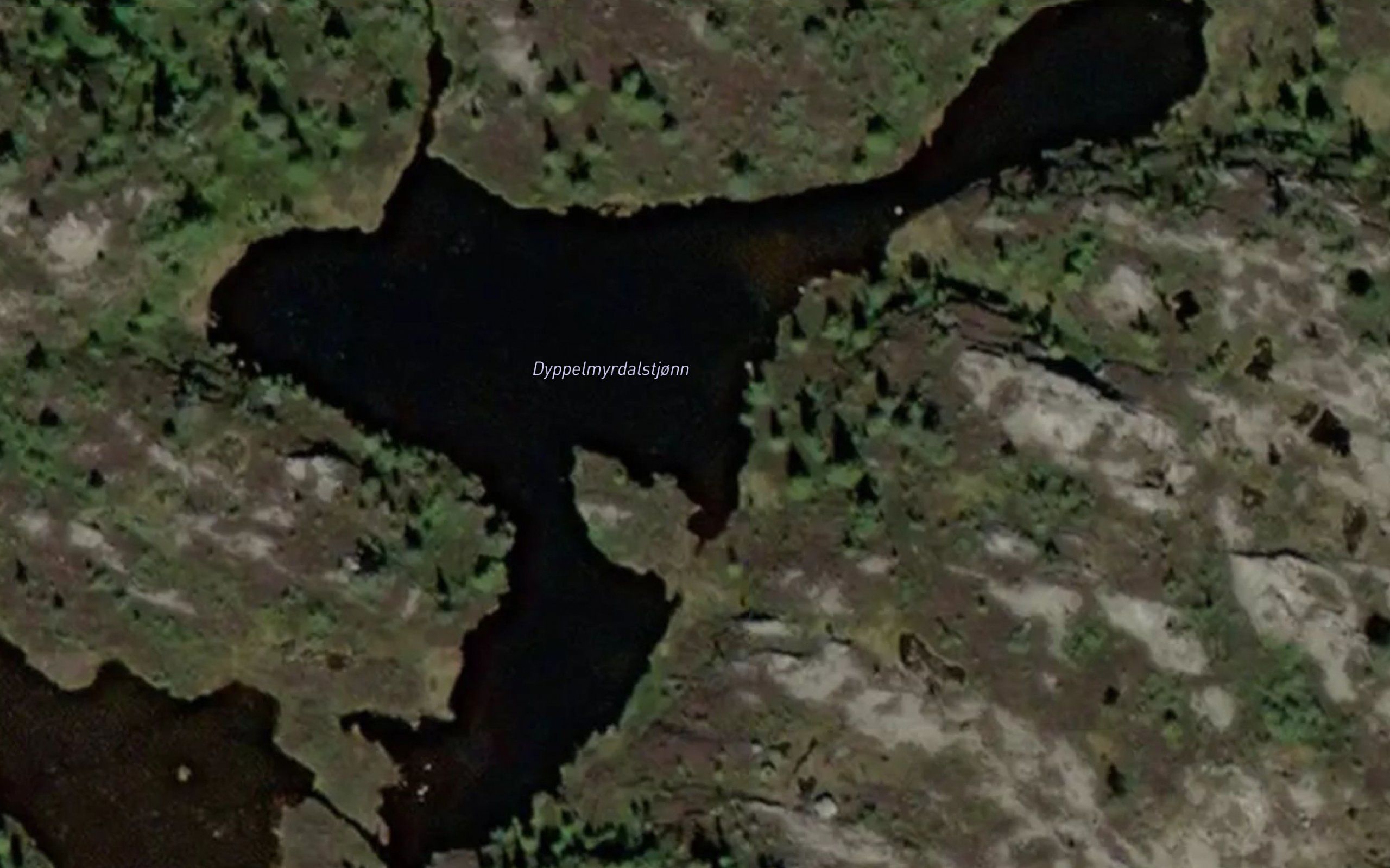Dyppelmyrdalstjonn