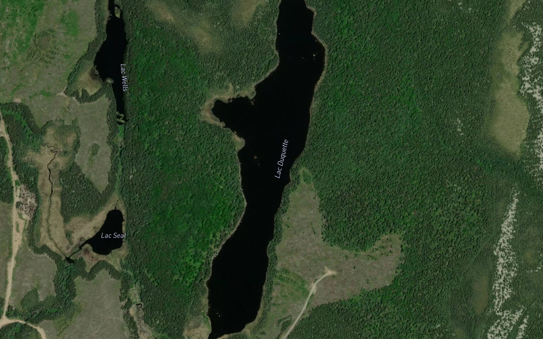 Satellite map of the Lac Duquette