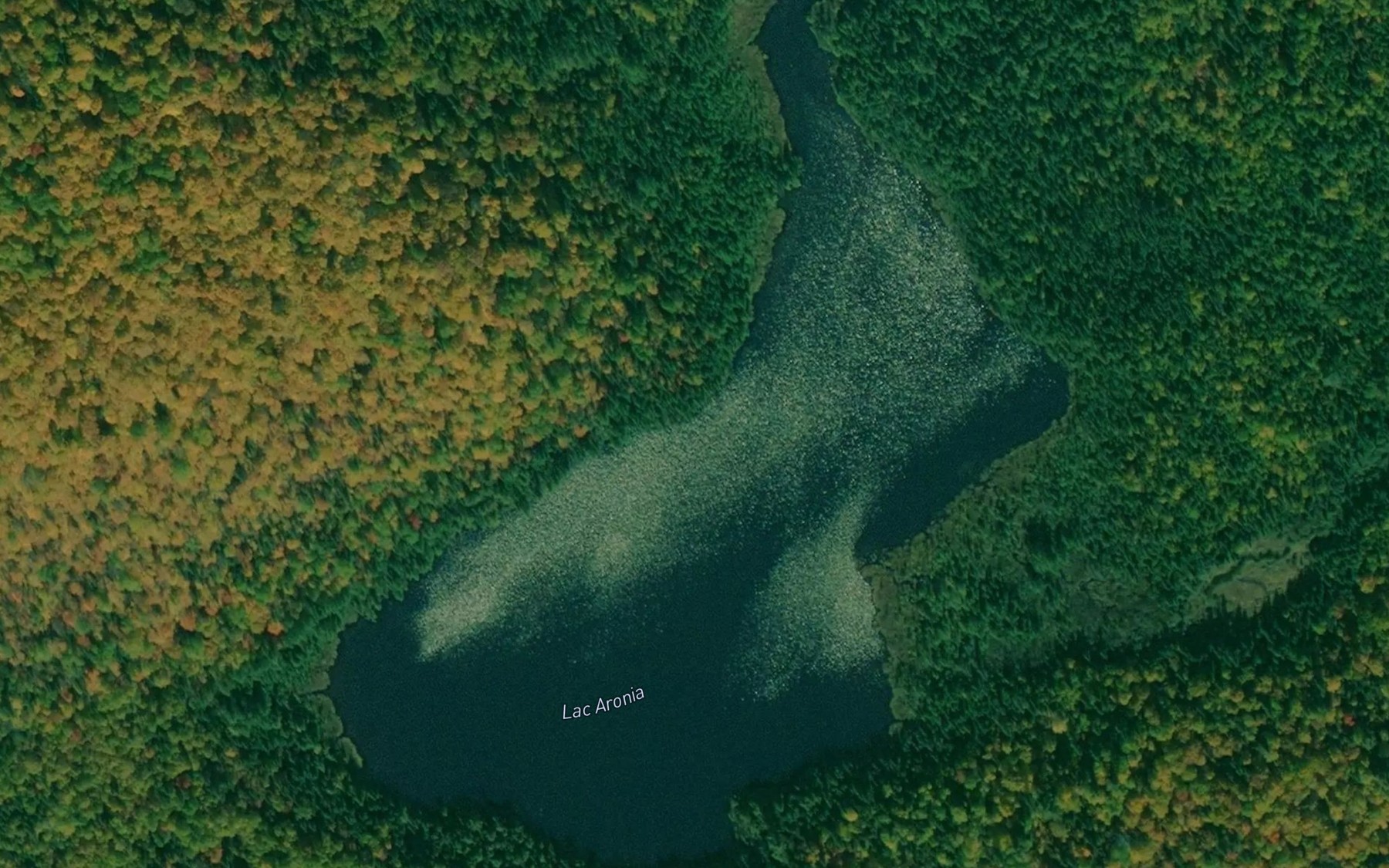 Satellite map of the Lac Aronia