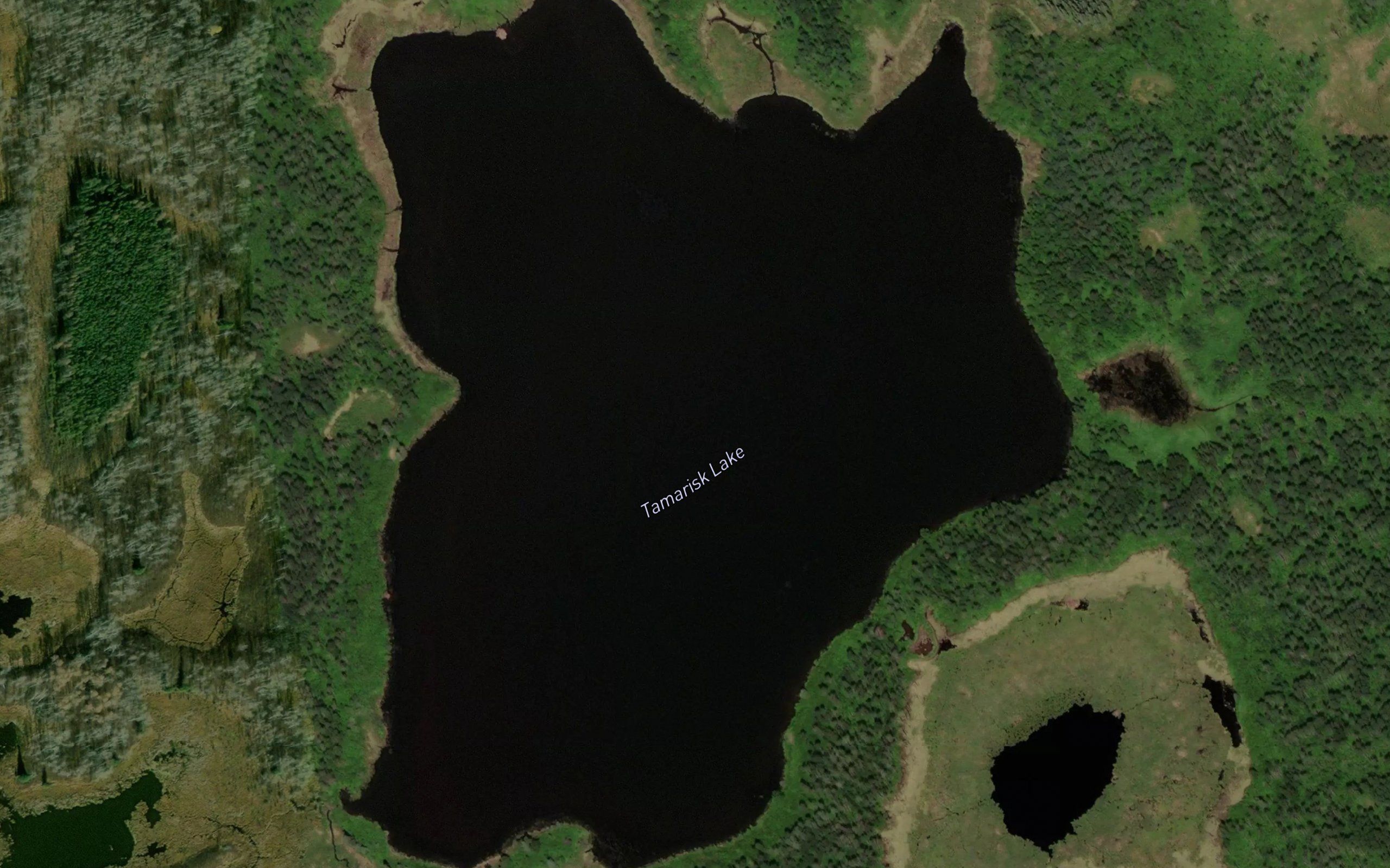 Tamarisk Lake