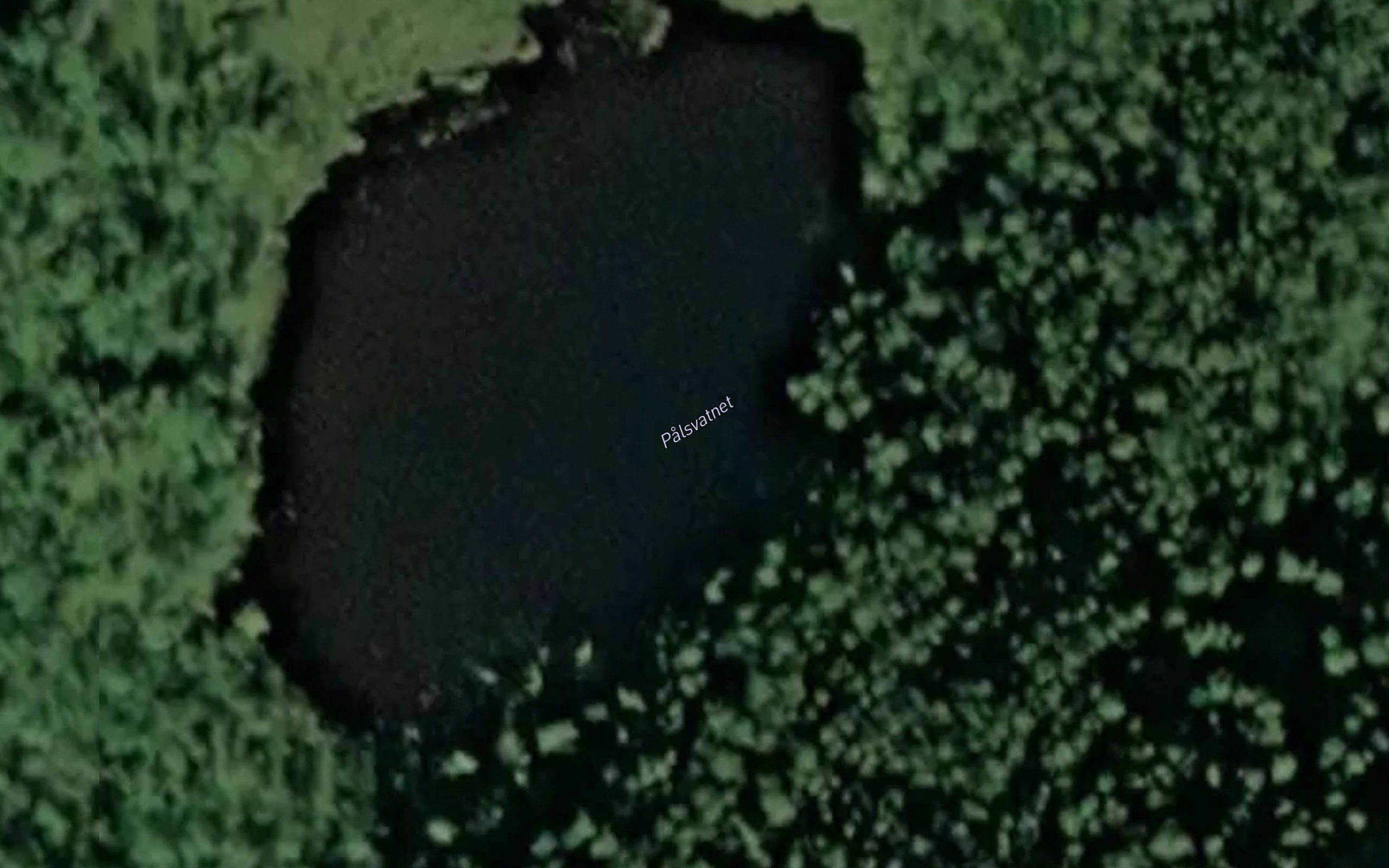 Palsvatnet