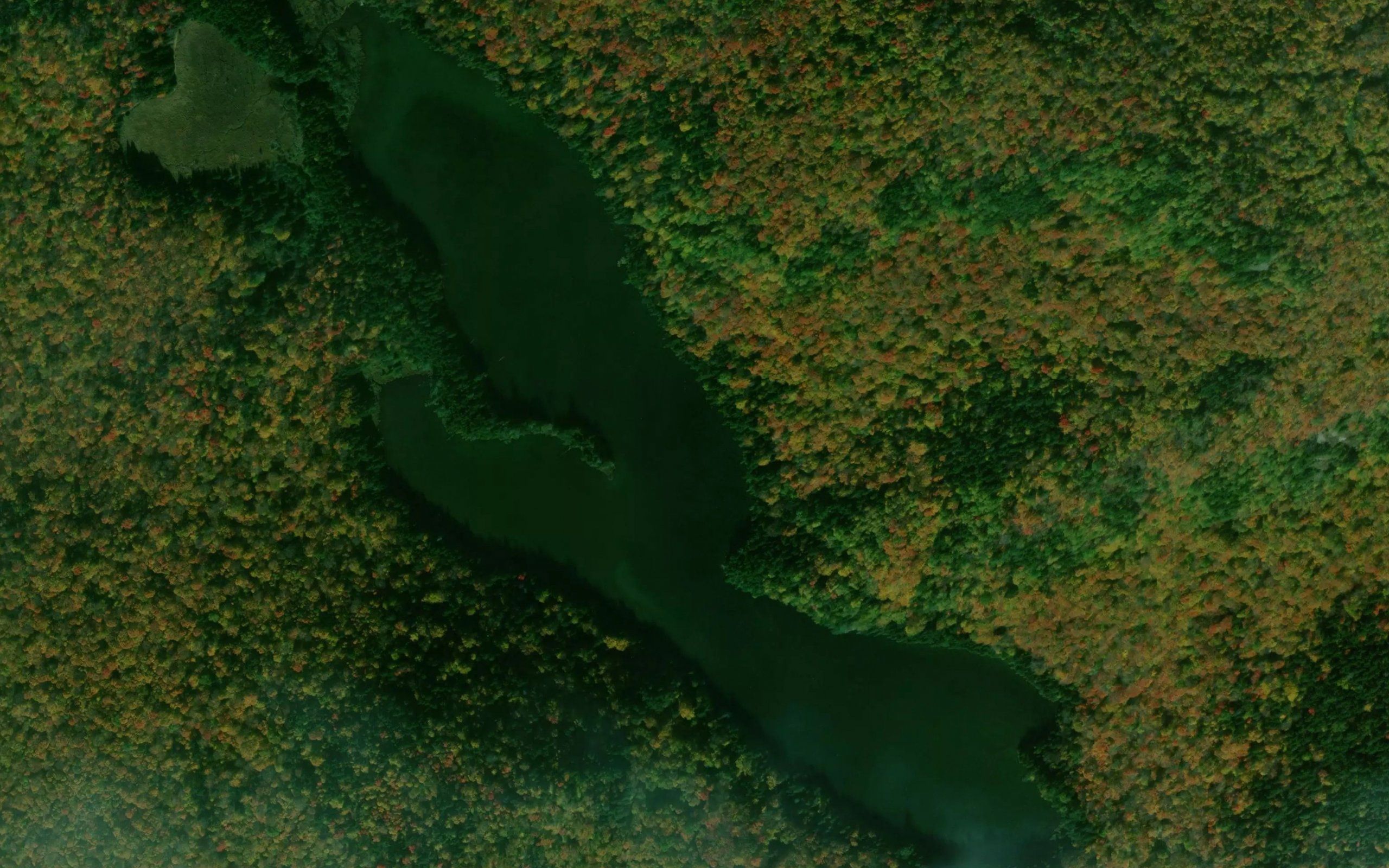Ironbound Pond