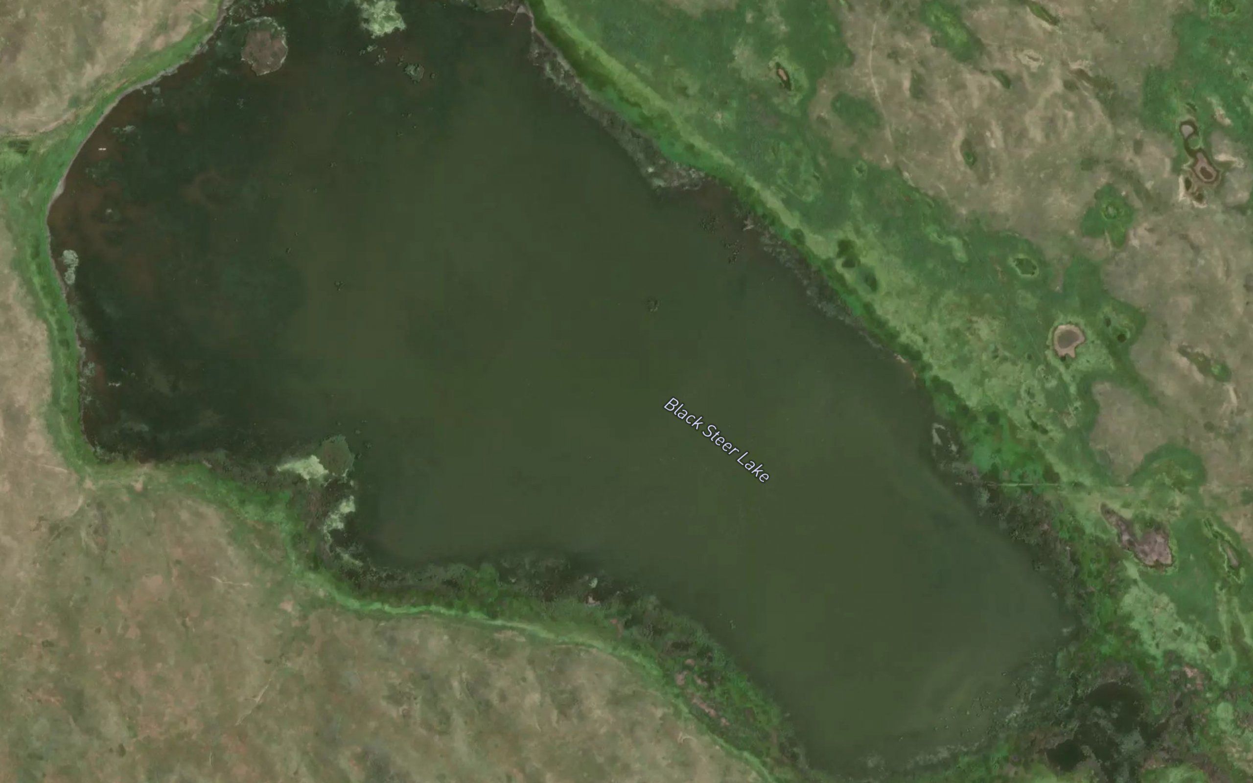 Black Steer Lake