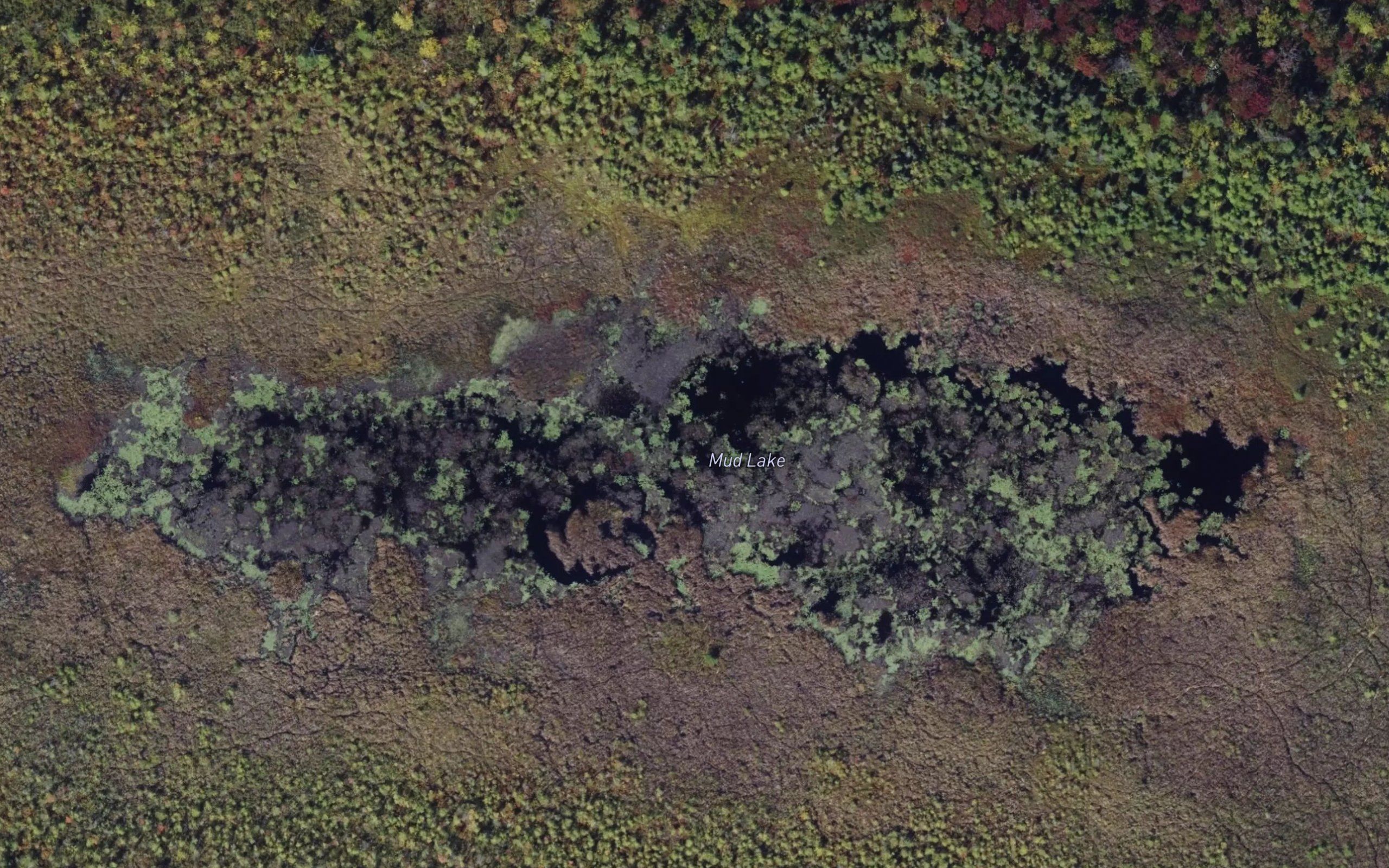 Mud Lake