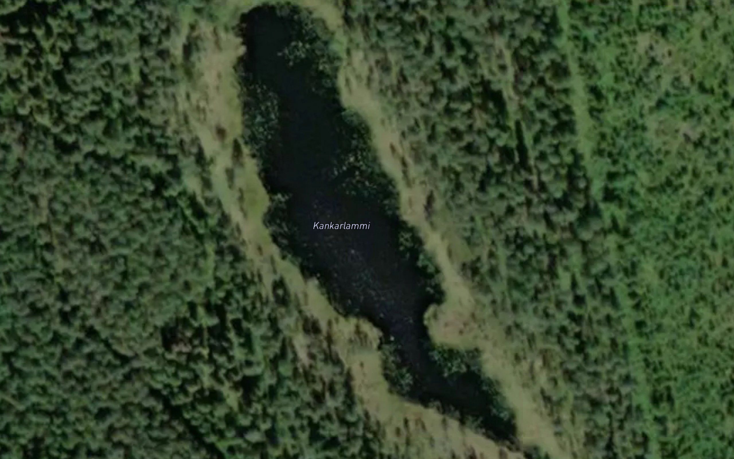 Kankarlammi