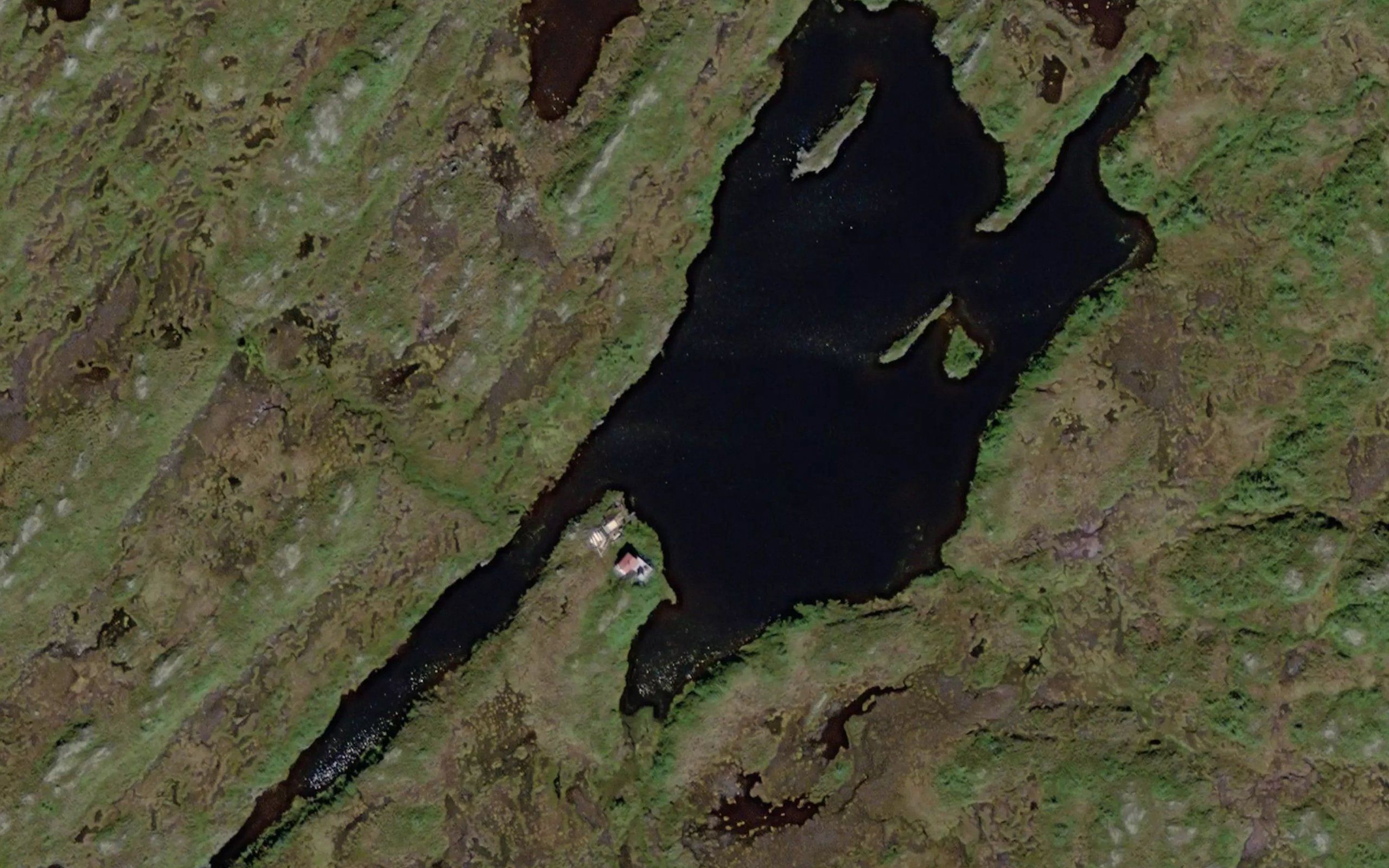 Skurvtjorna,austre