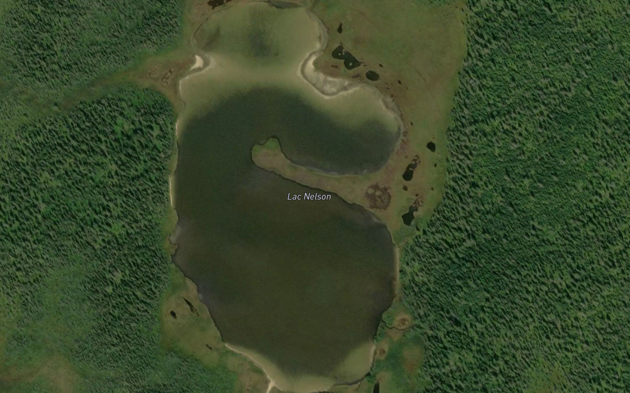 Lac Nelson