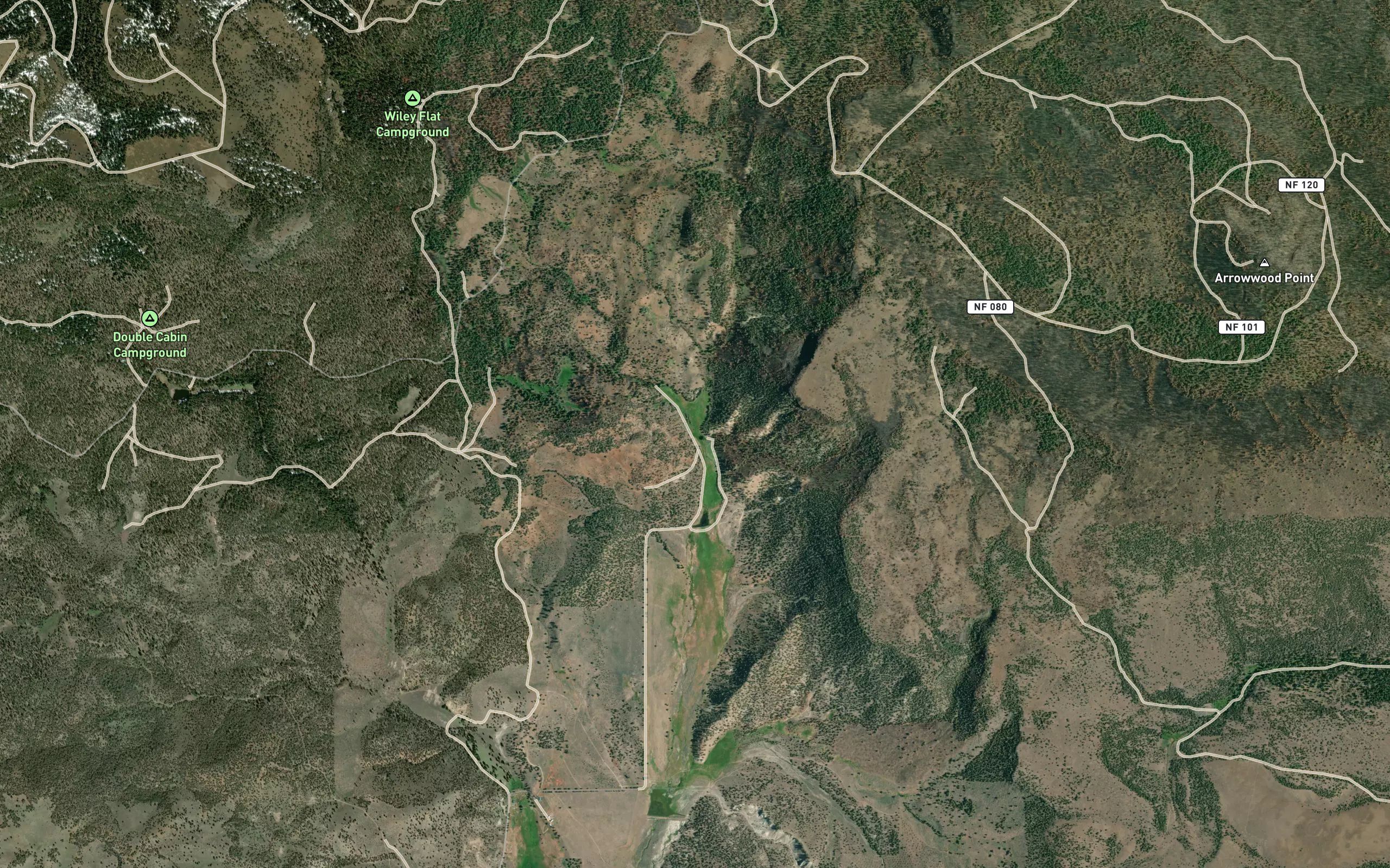 Wiley Creek