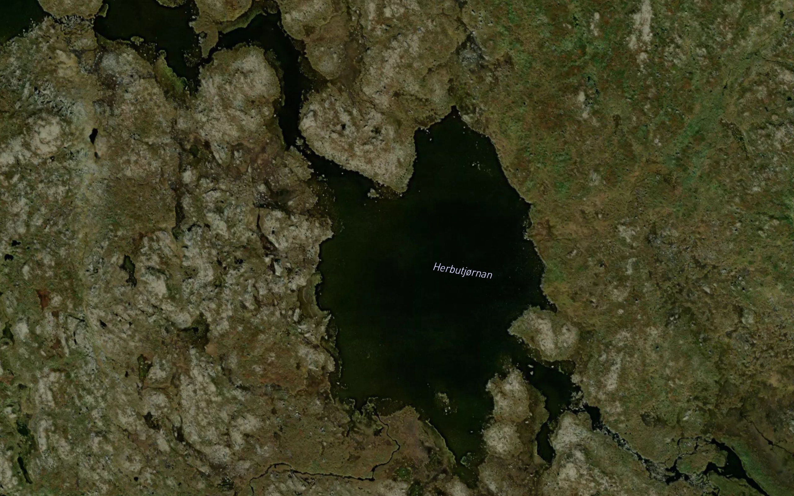 Herbutjornan