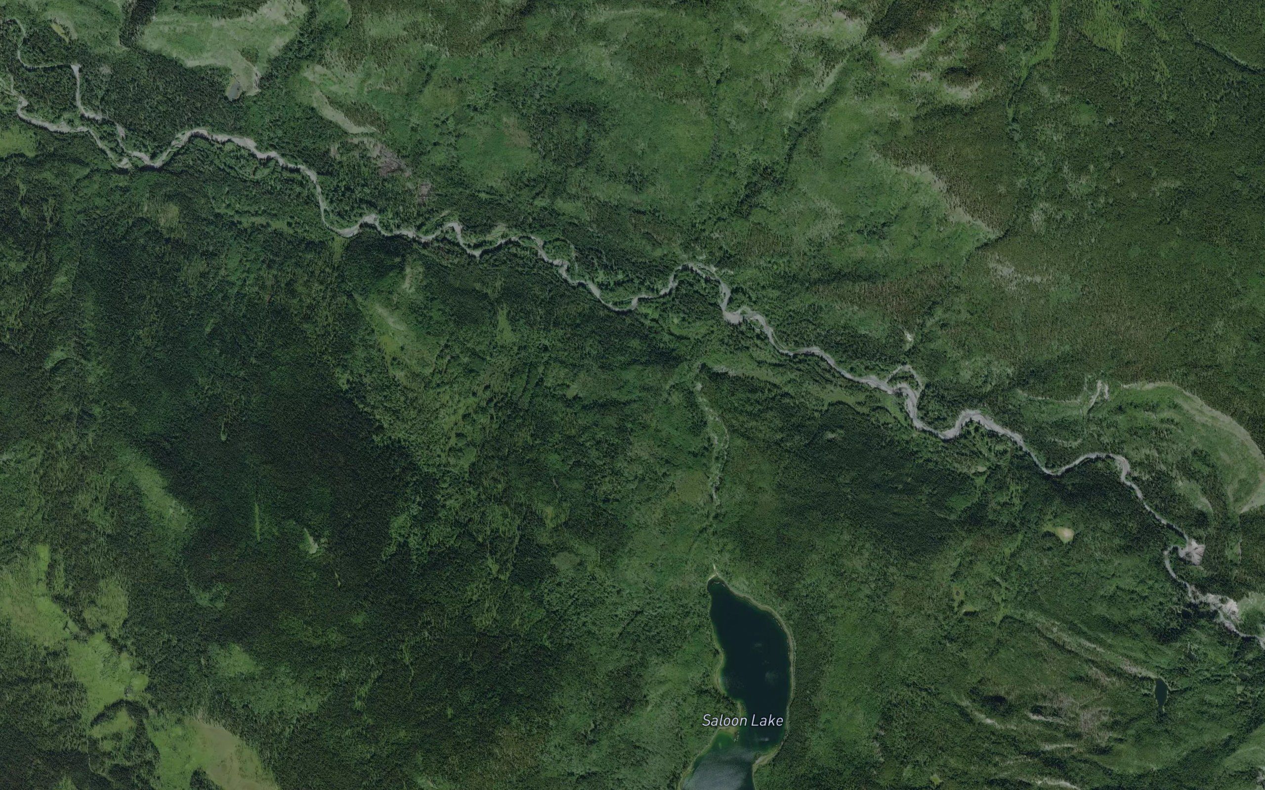 Saloon Creek